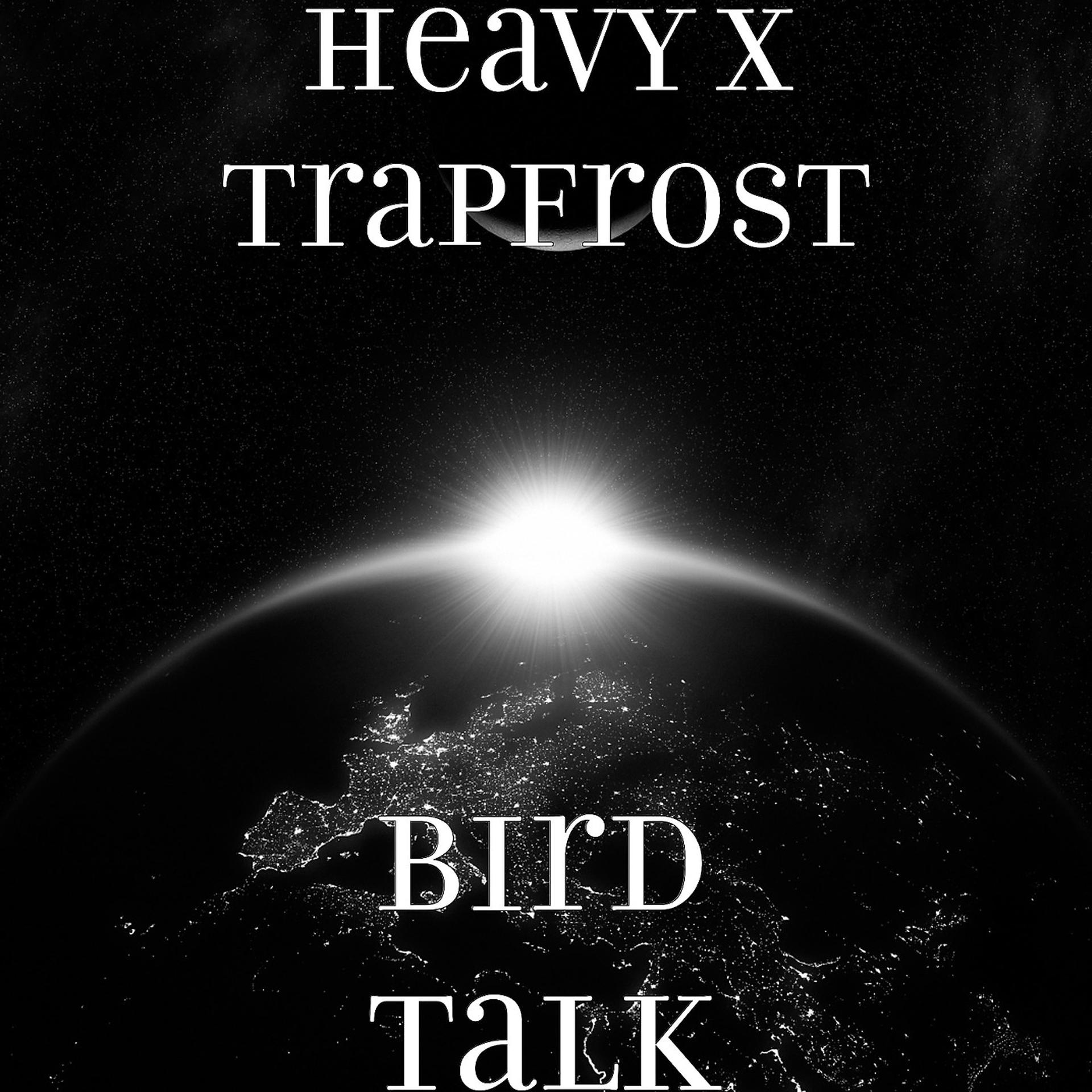 Постер альбома Bird Talk