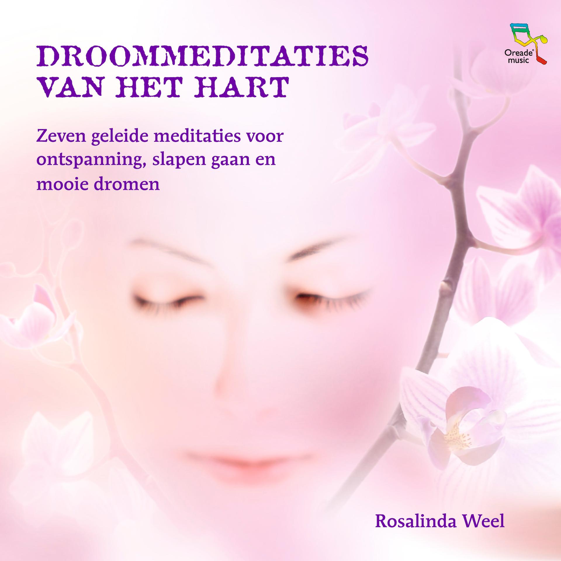 Постер альбома Droommeditaties van Het Hart