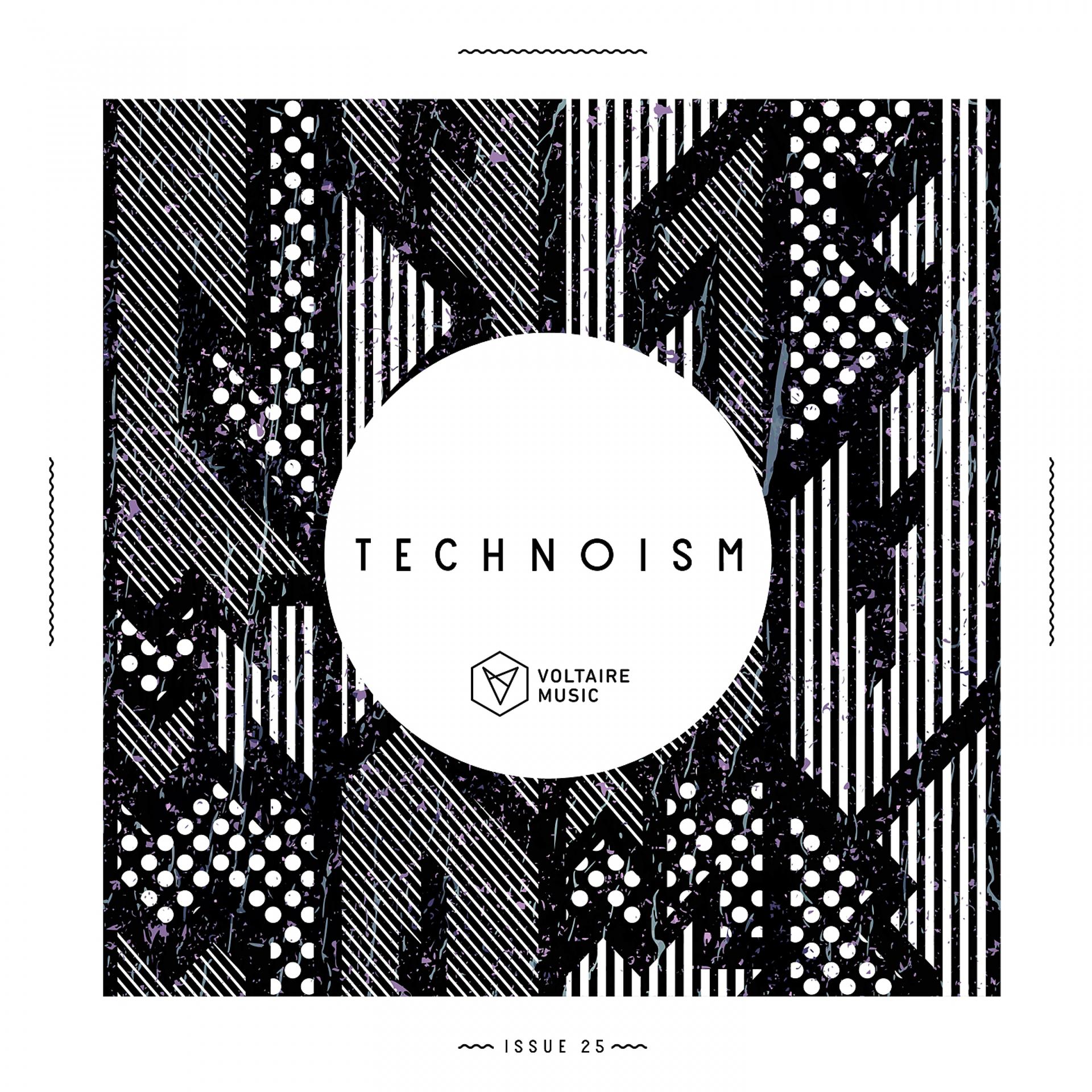 Постер альбома Technoism Issue 25