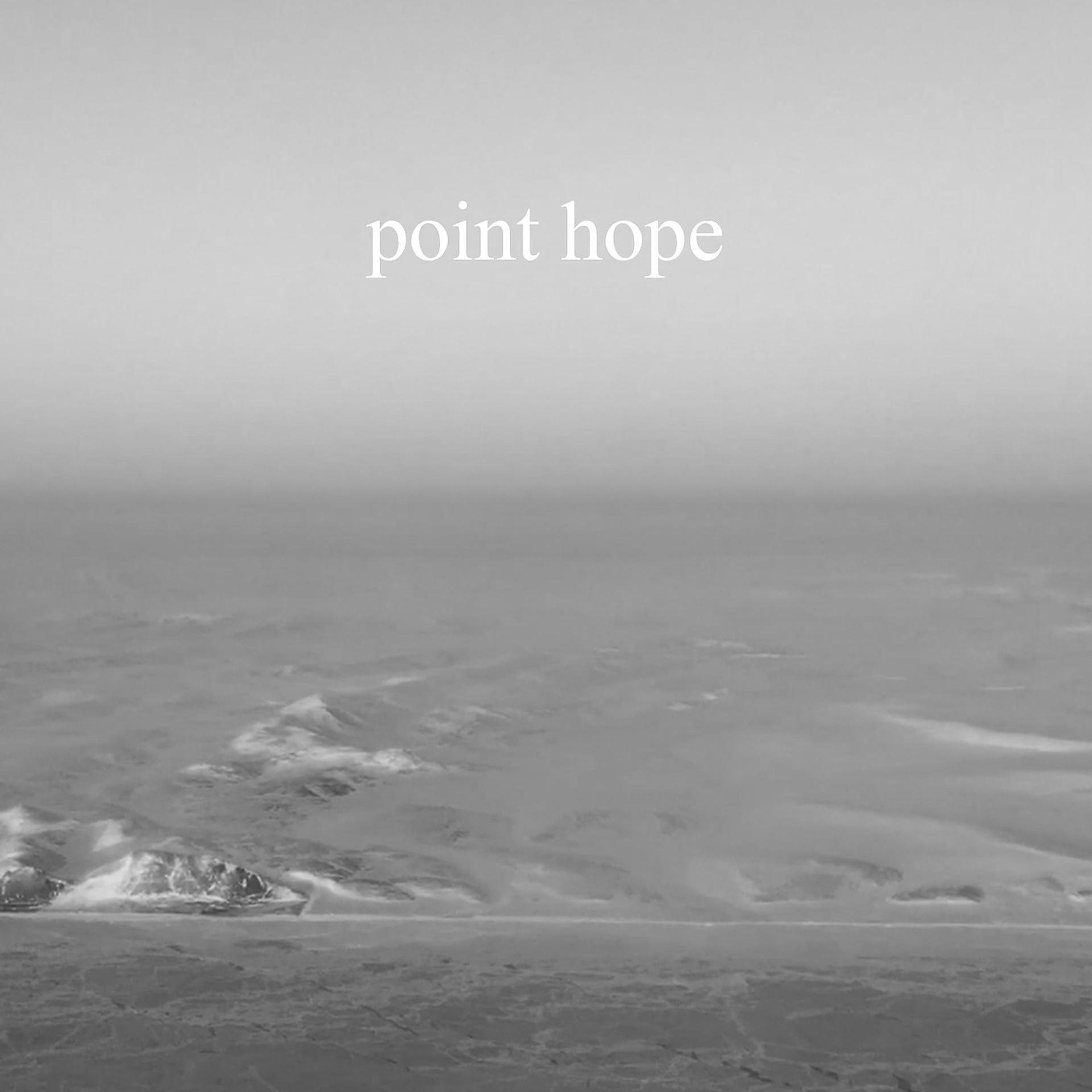 Постер альбома Point Hope