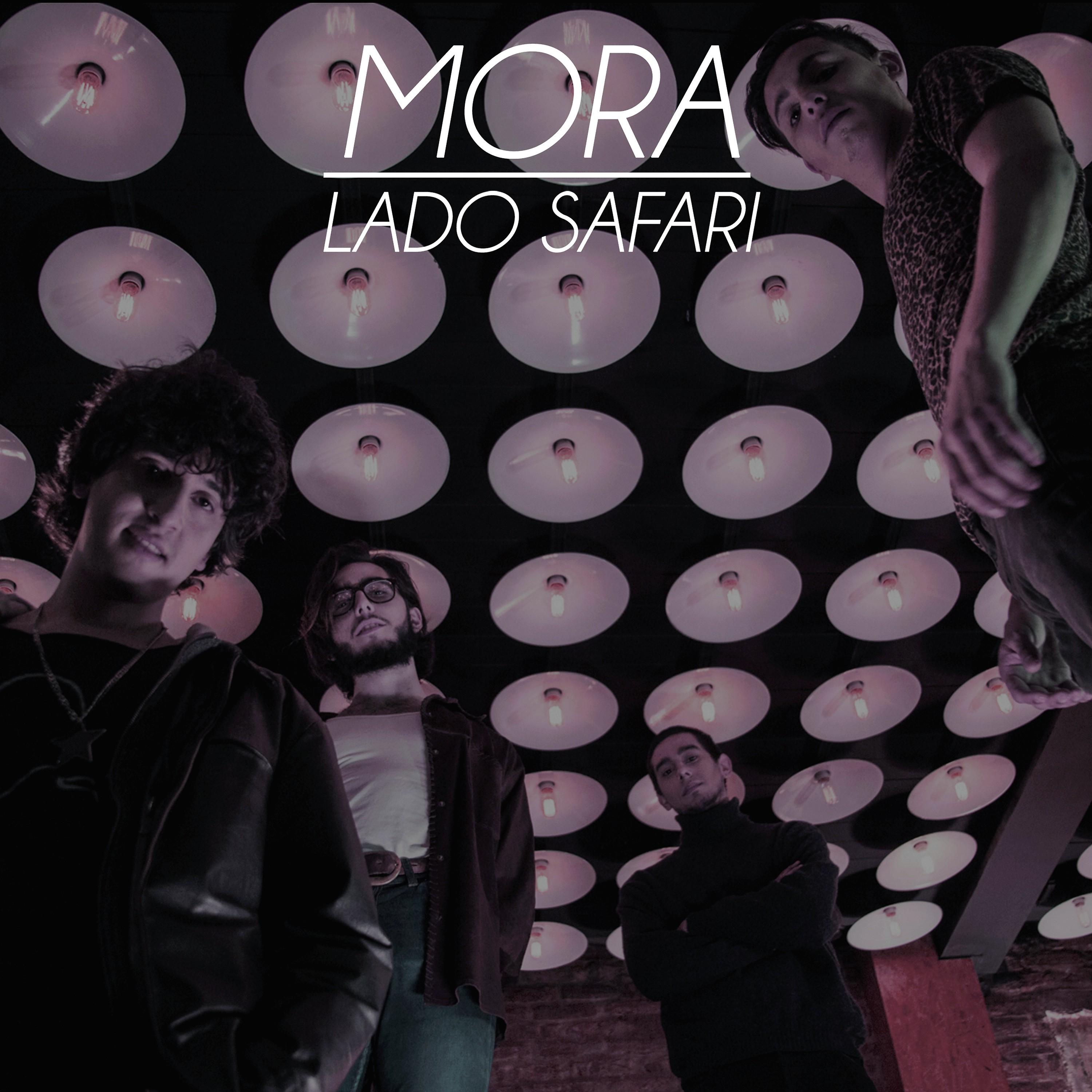 Постер альбома Lado Safari