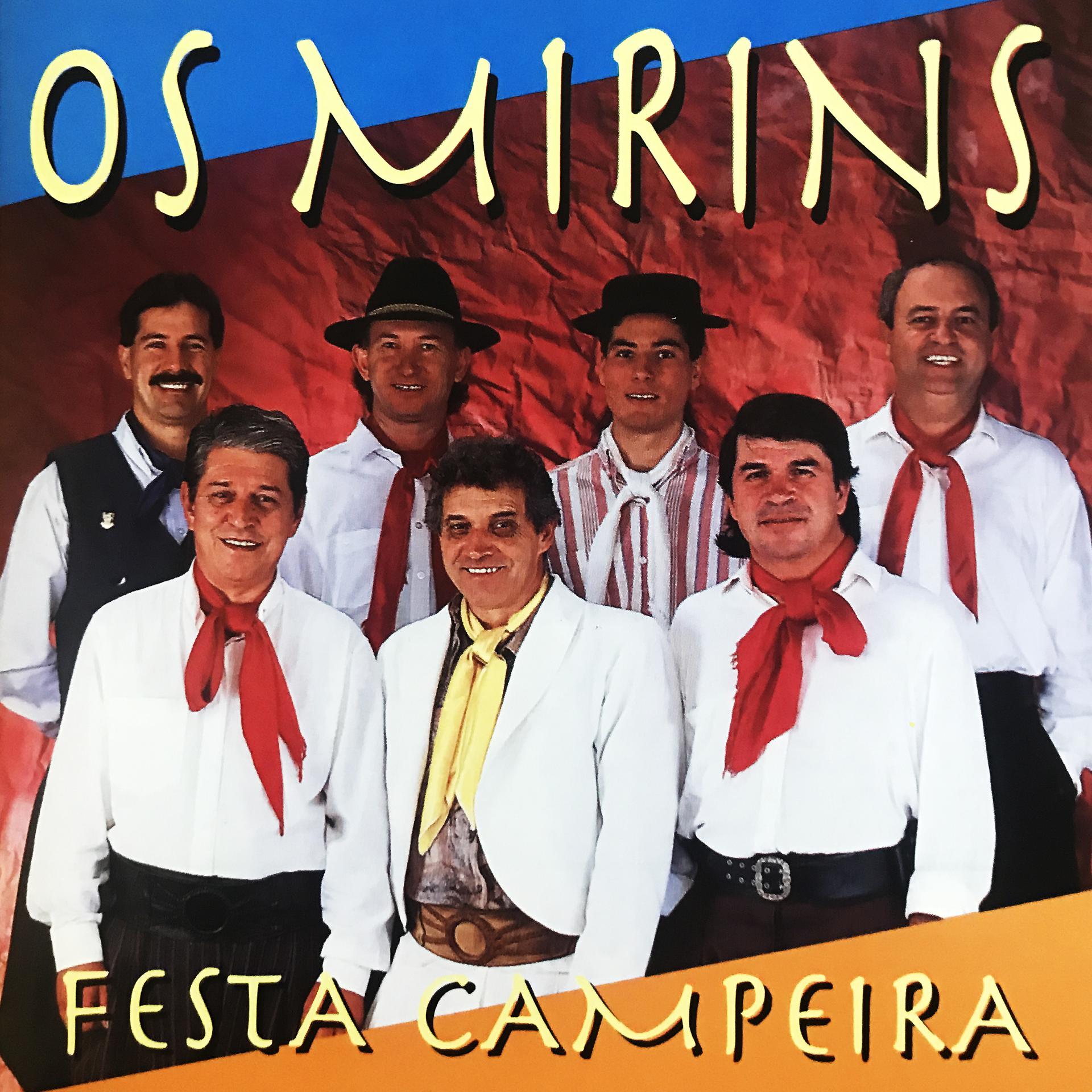 Постер альбома Festa Campeira