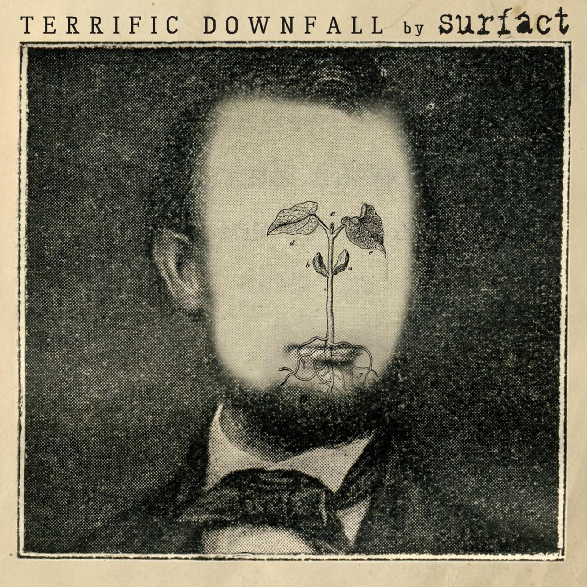 Постер альбома Terrific Downfall
