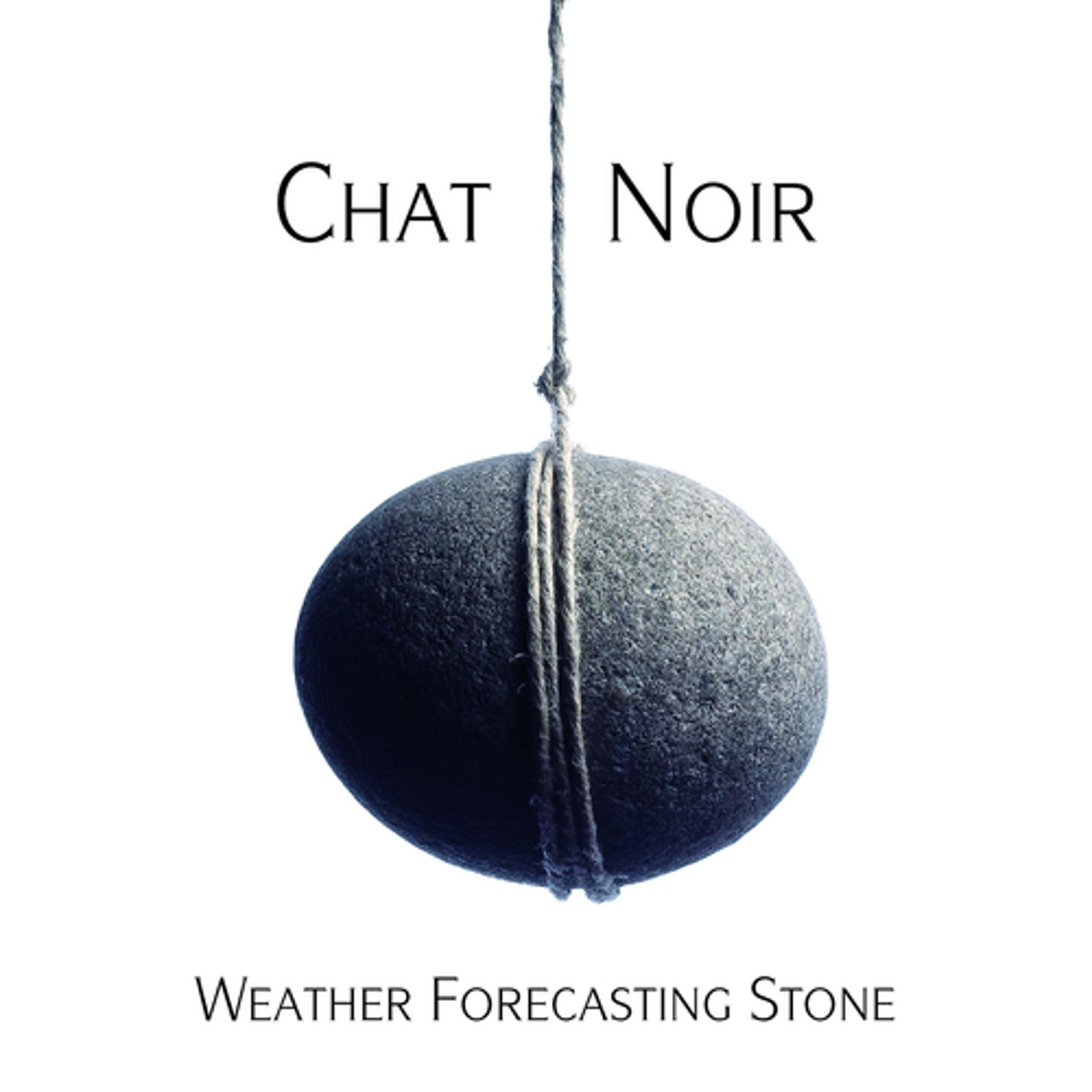 Постер альбома Weather Forecasting Stone