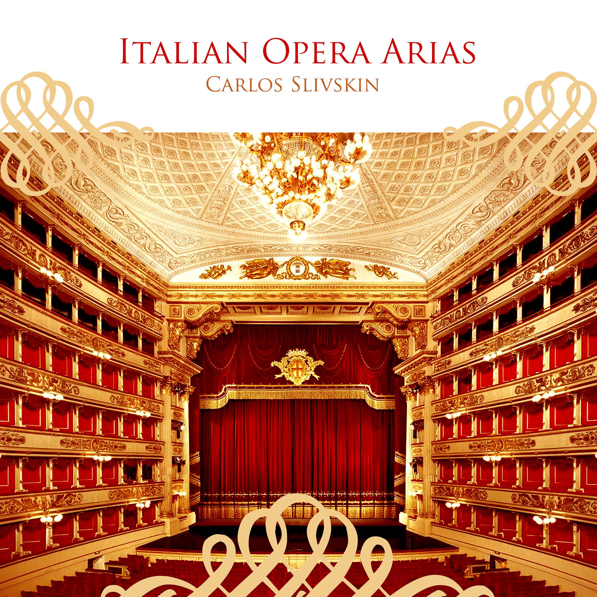 Постер альбома Italian Opera Arias