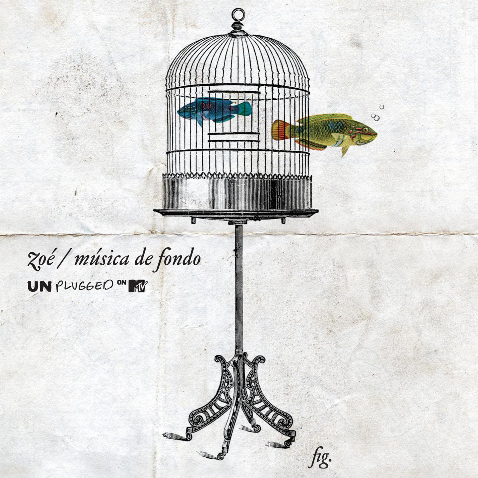 Постер альбома MTV Unplugged Música De Fondo (Standard Version)