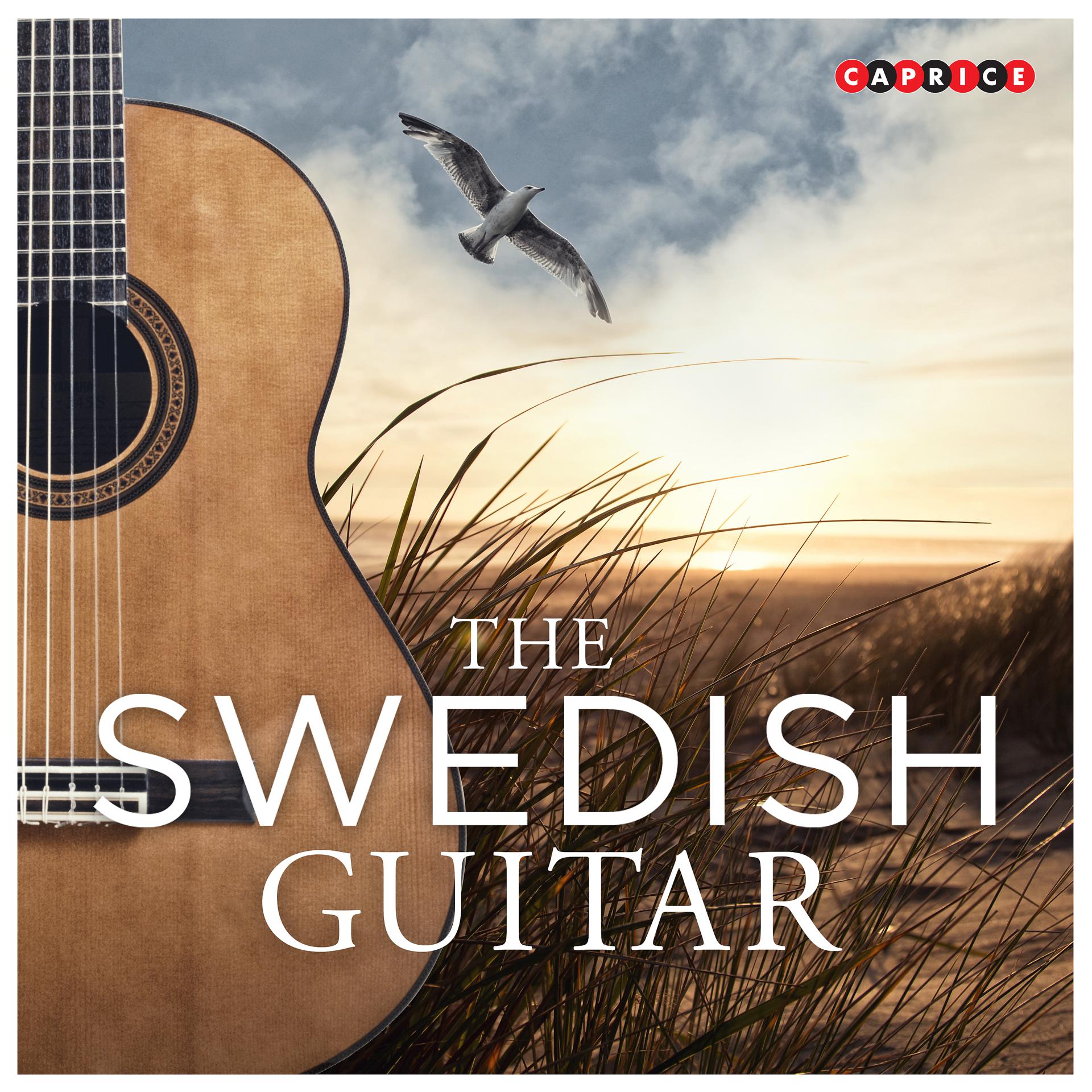 Постер альбома The Swedish Guitar