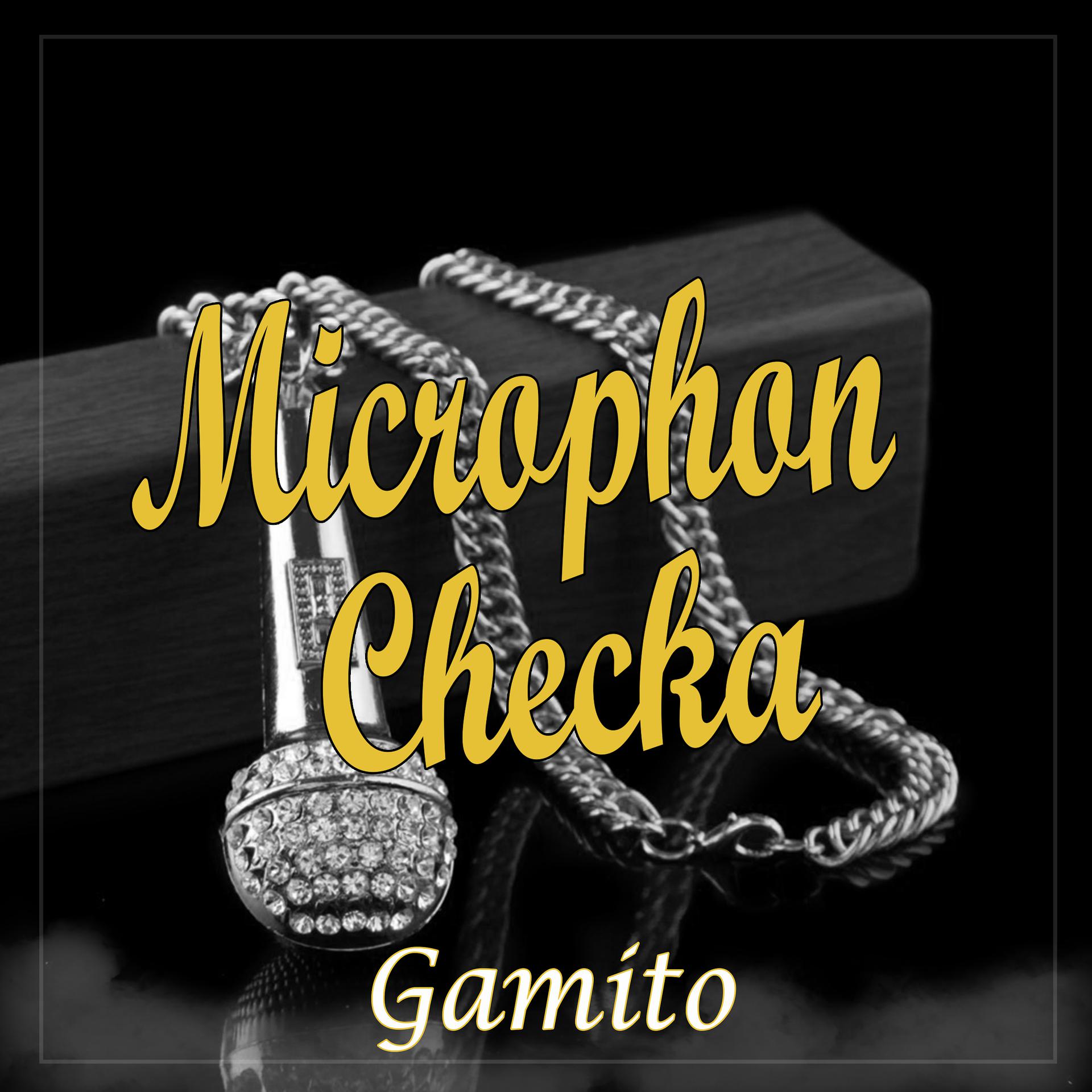 Постер альбома Microphon Checka