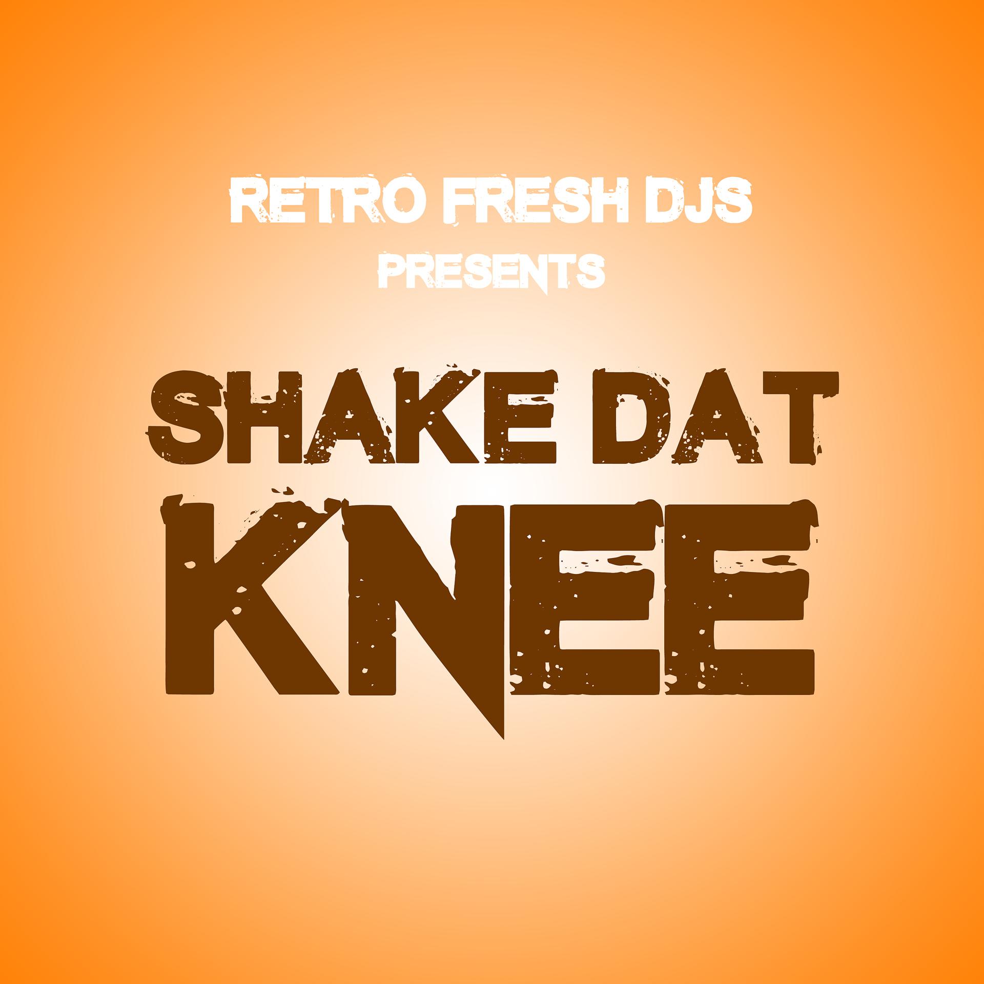 Постер альбома Shake Dat Knee