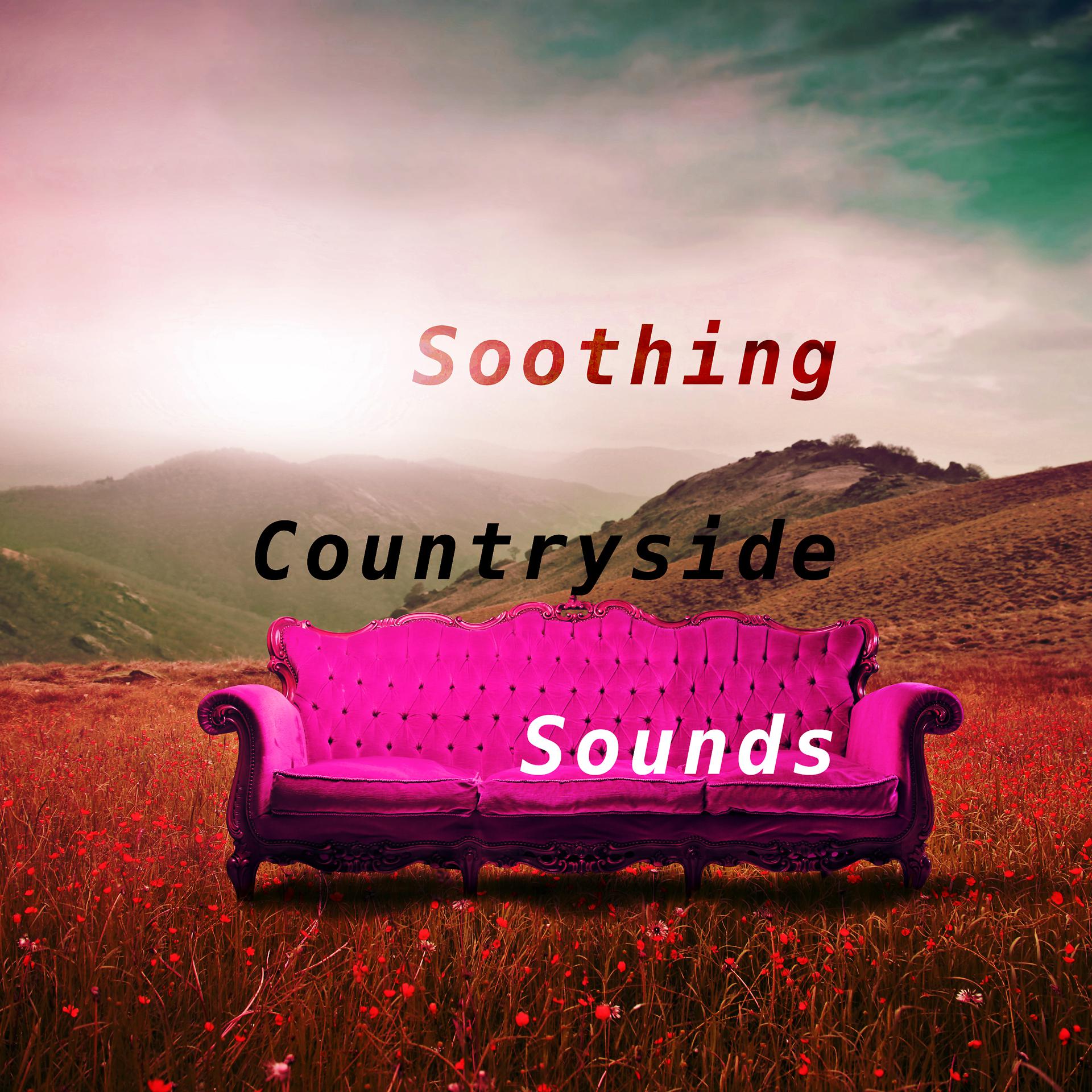 Постер альбома Soothing Countryside Sounds