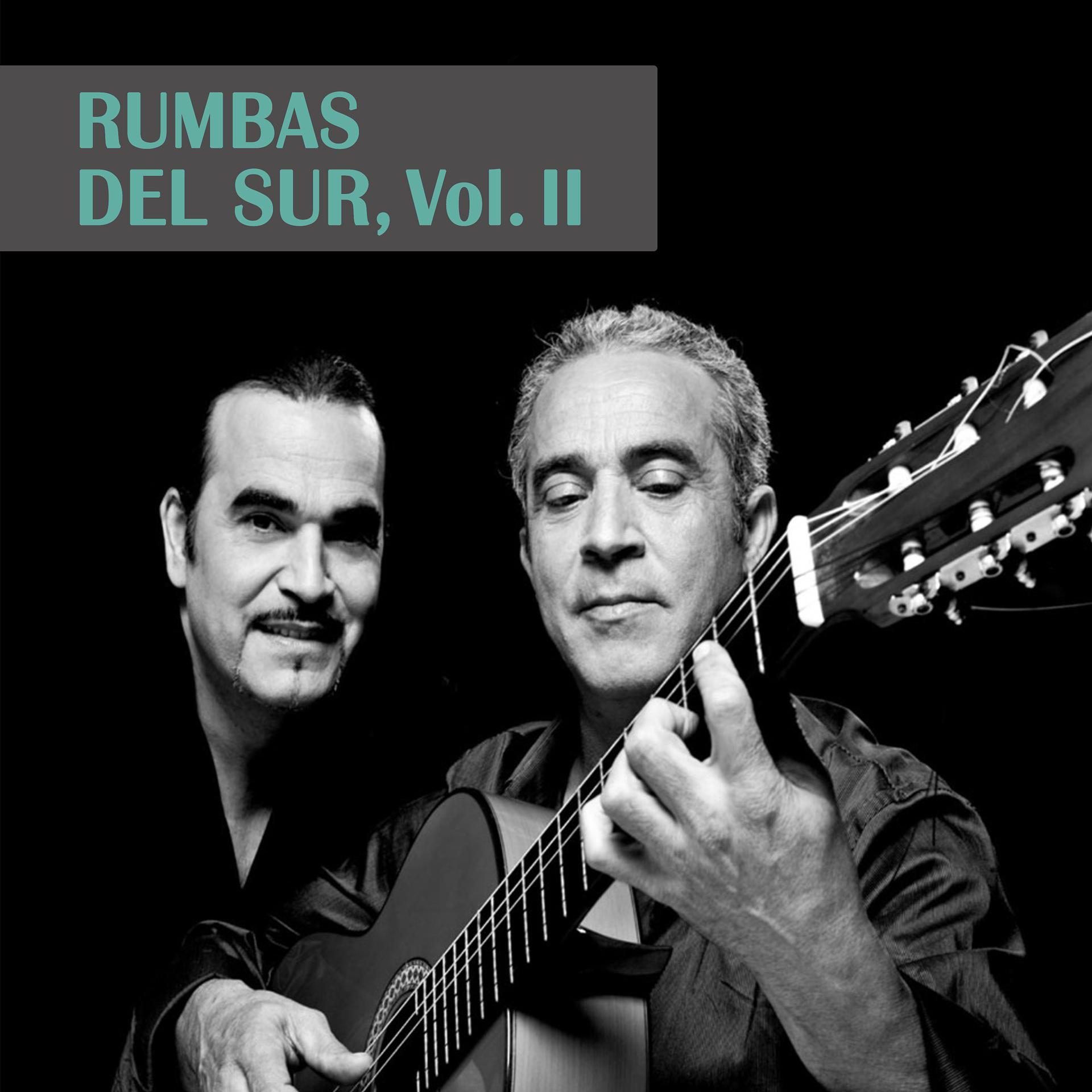 Постер альбома Rumbas del Sur, Vol. II