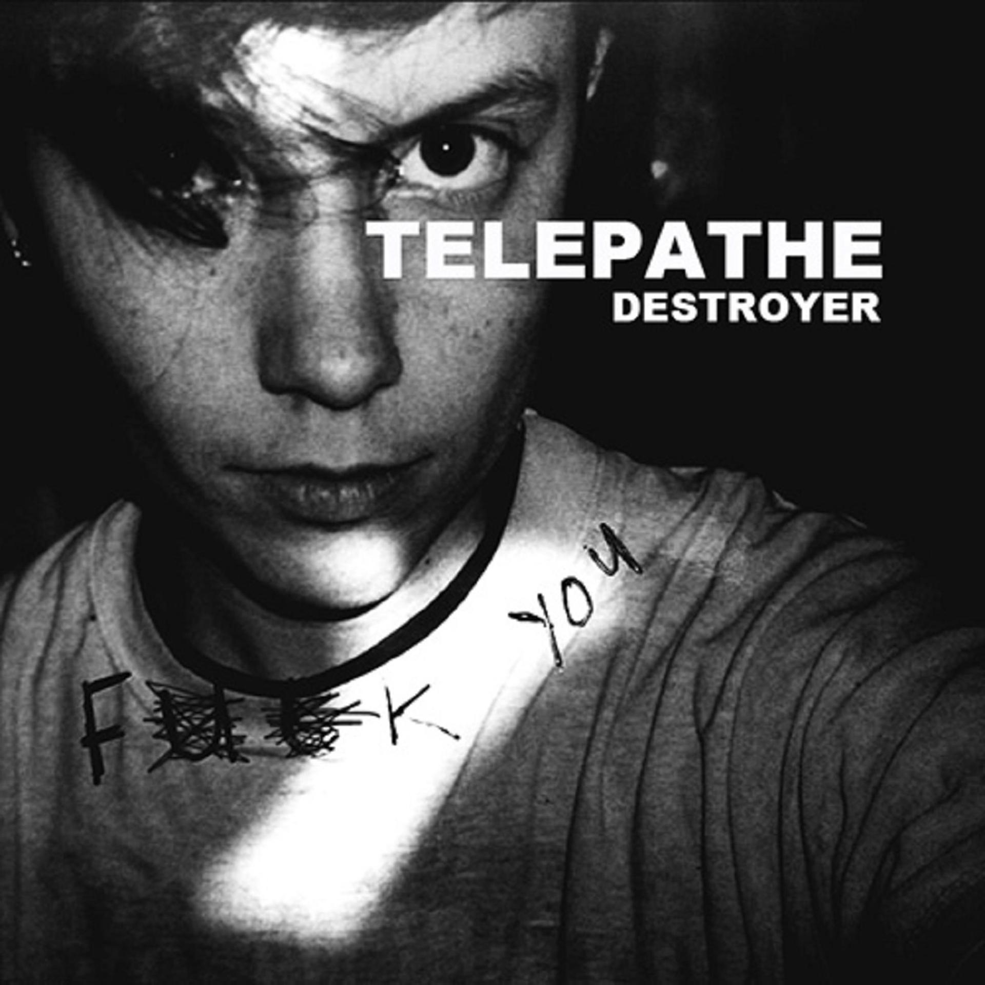 Постер альбома Destroyer
