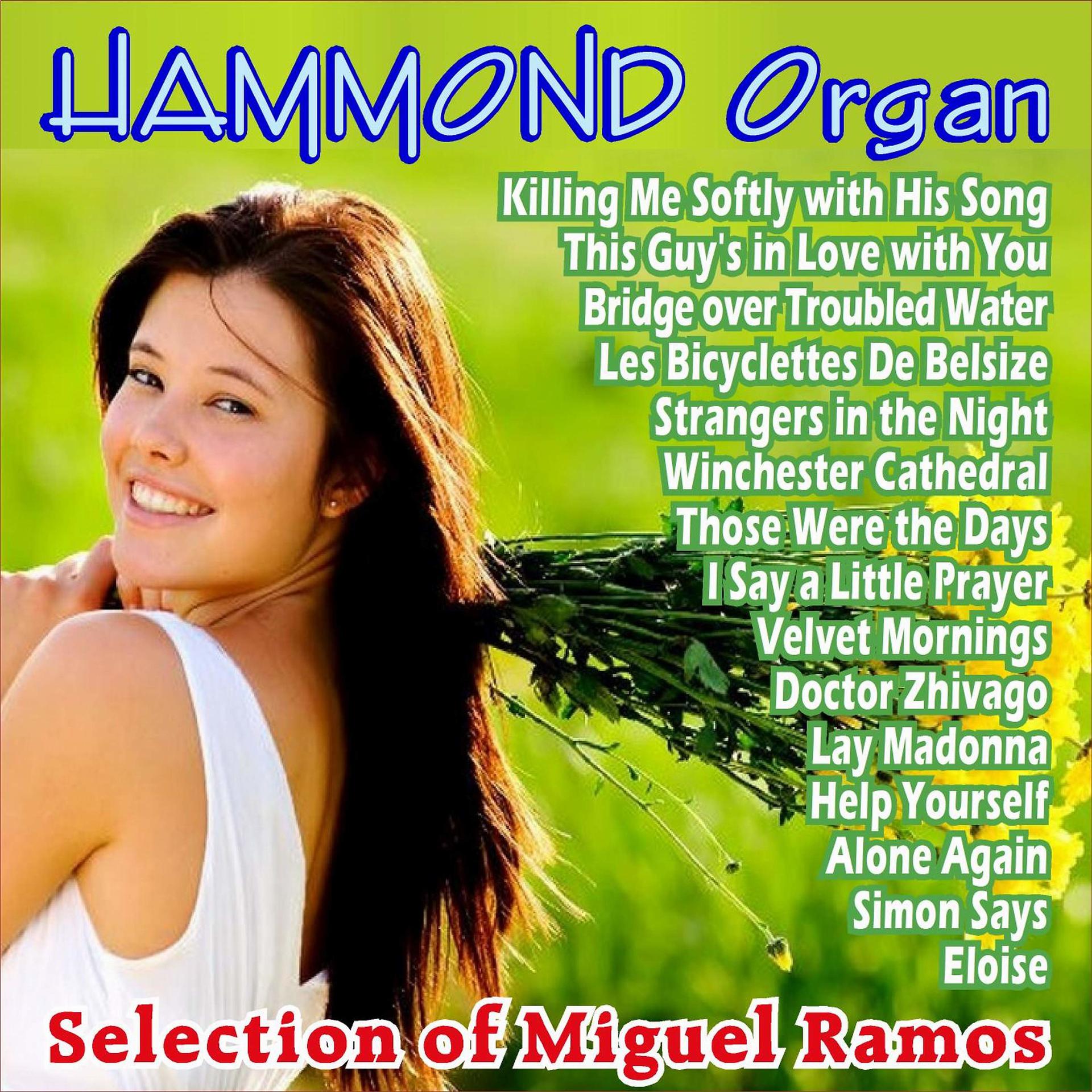 Постер альбома Organ Hammond - Selection of Successes