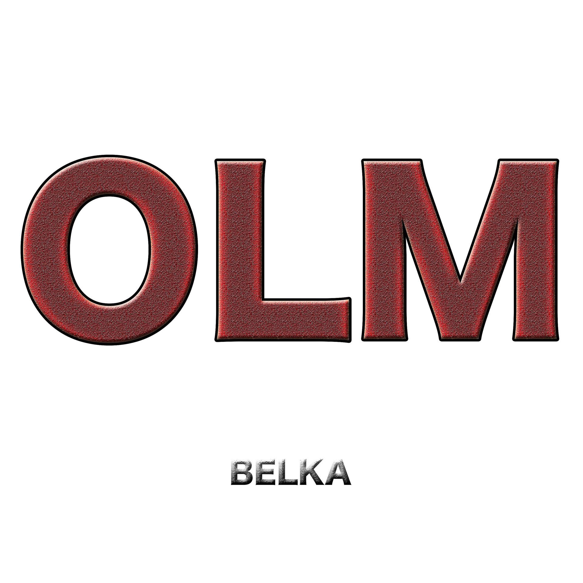 Постер альбома Belka