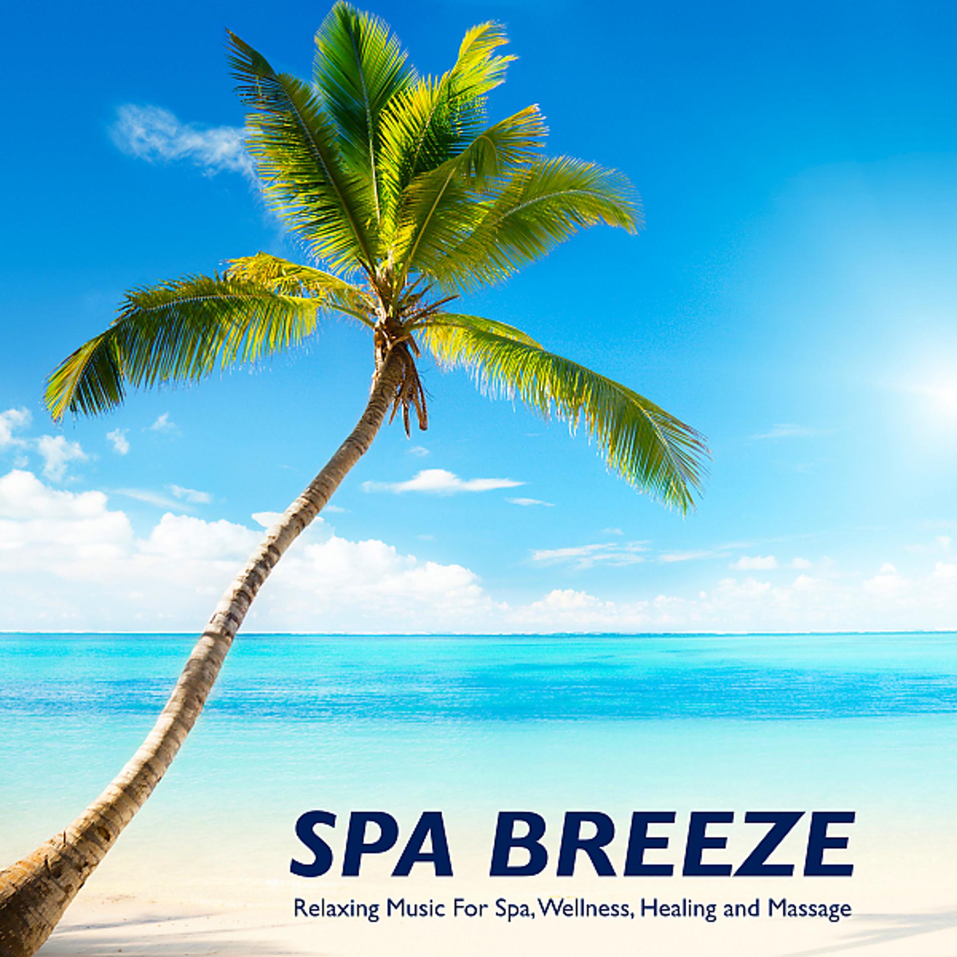 Постер альбома Spa Breeze: Relaxing Music For Spa, Wellness, Healing and Massage