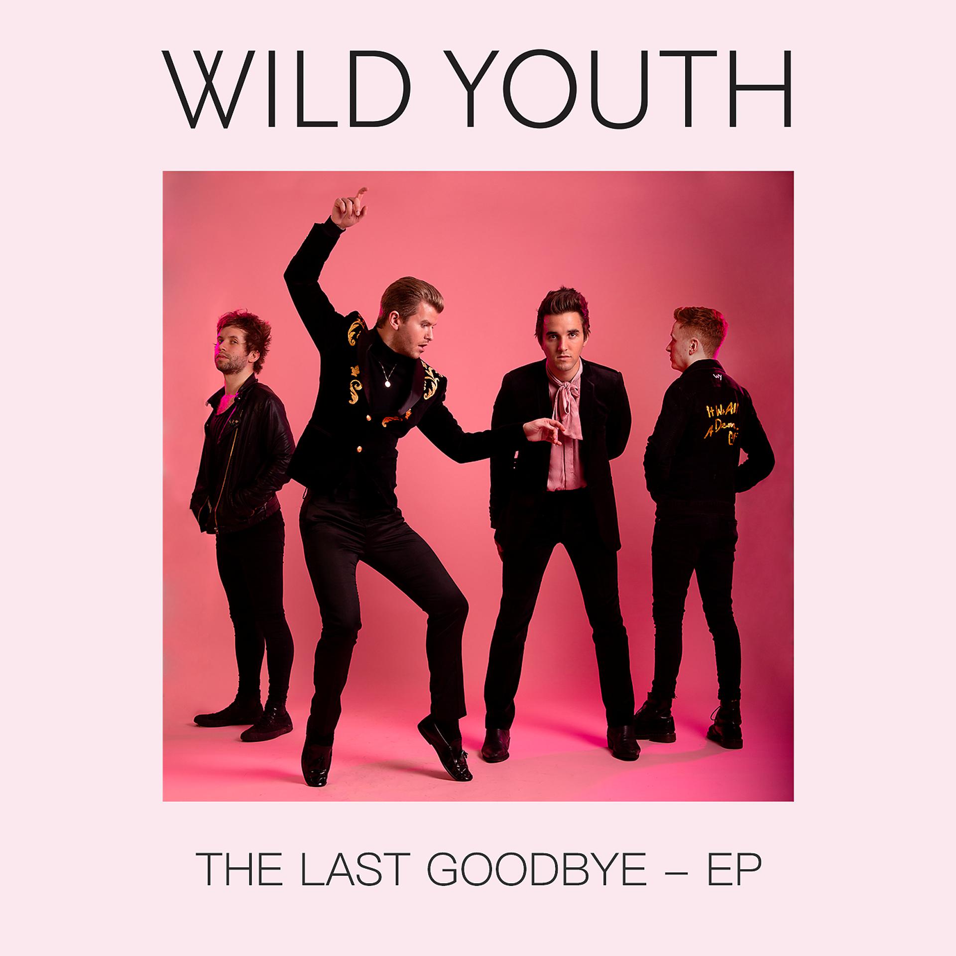 Постер альбома The Last Goodbye - EP