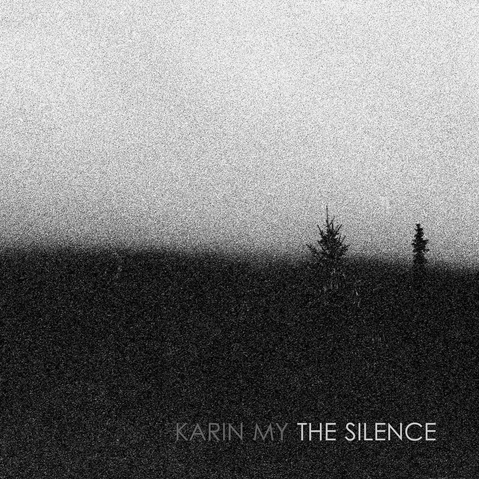 Постер альбома The Silence