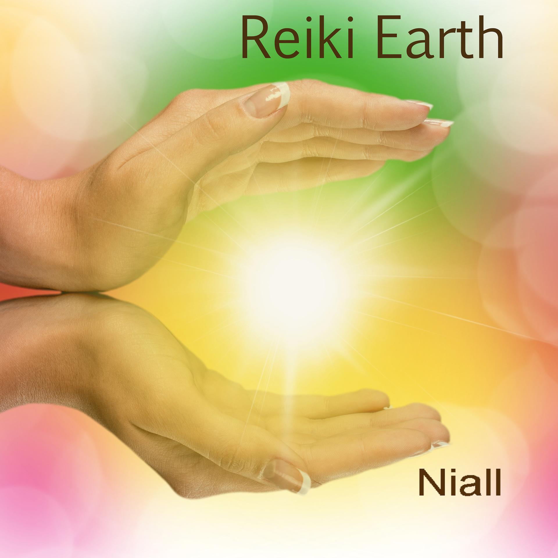 Постер альбома Reiki Earth