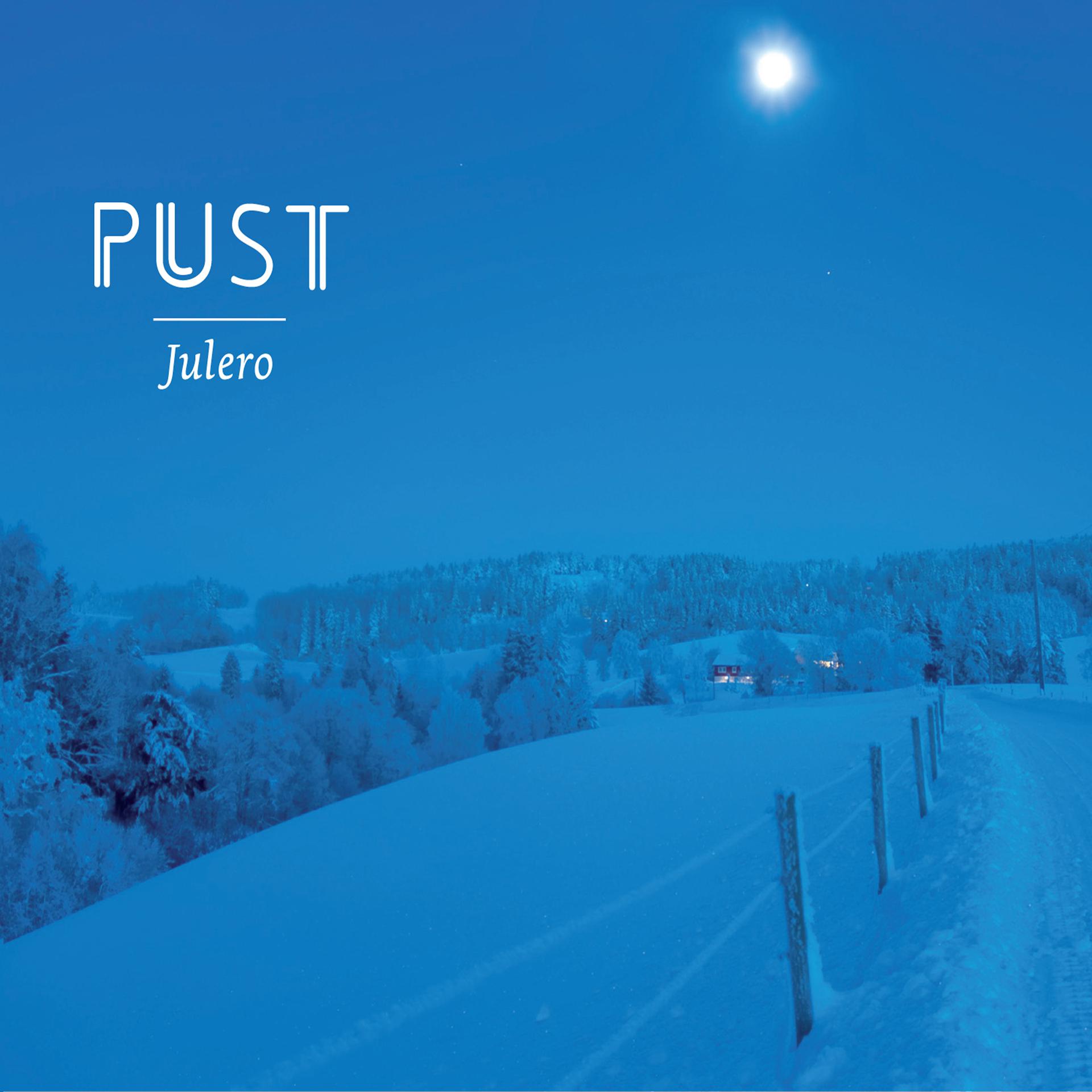 Постер альбома Julero
