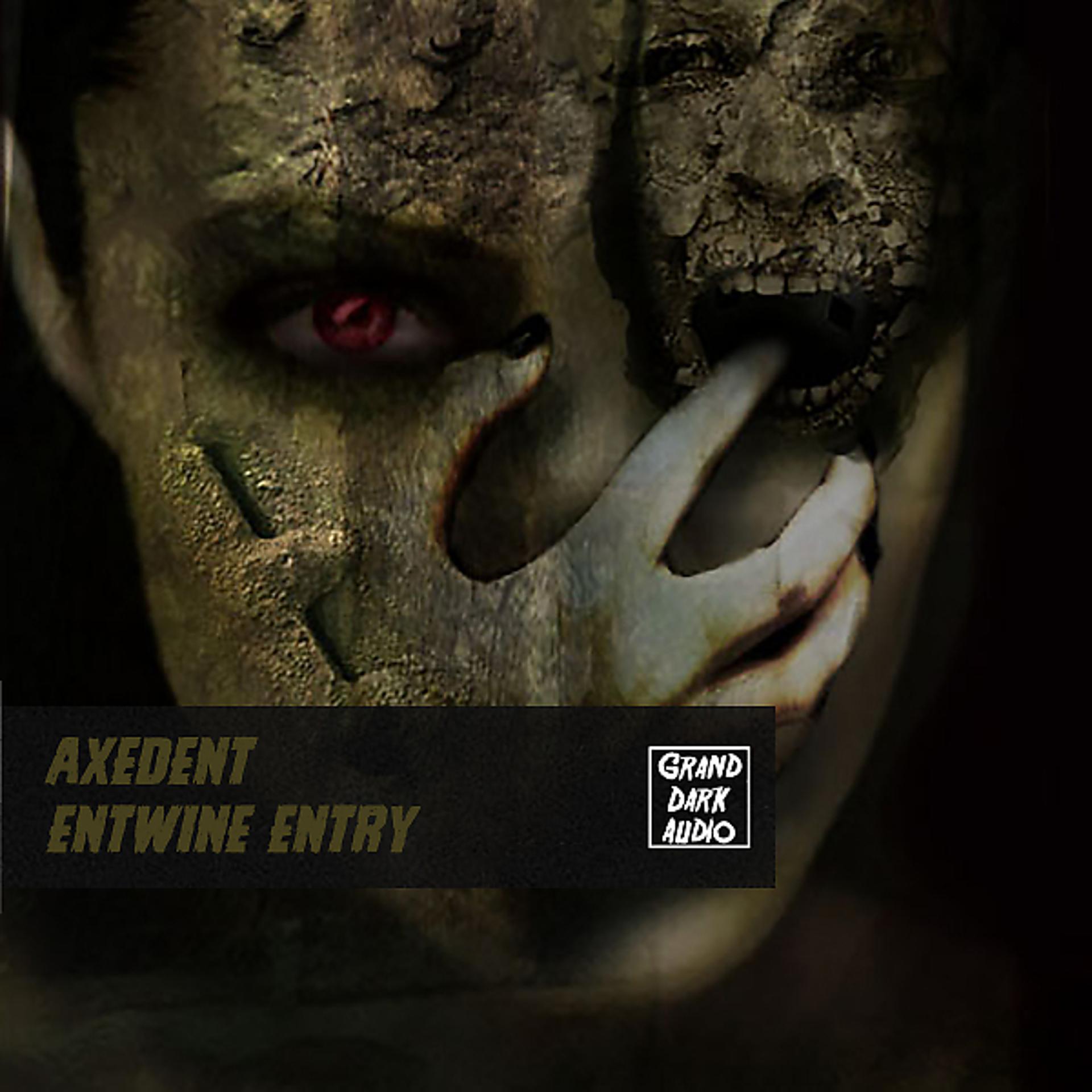 Постер альбома Entwine Entry