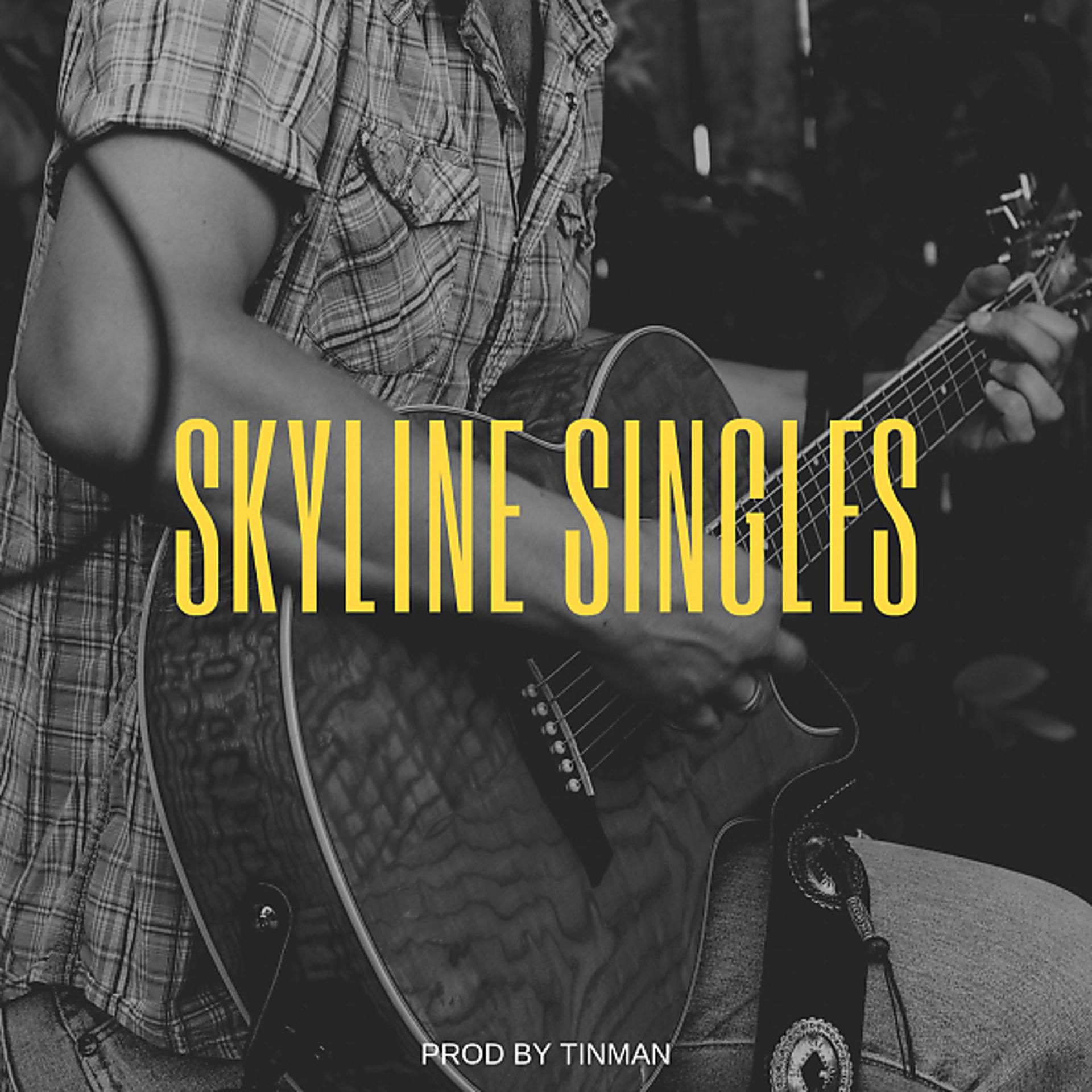 Постер альбома Skyline Singles