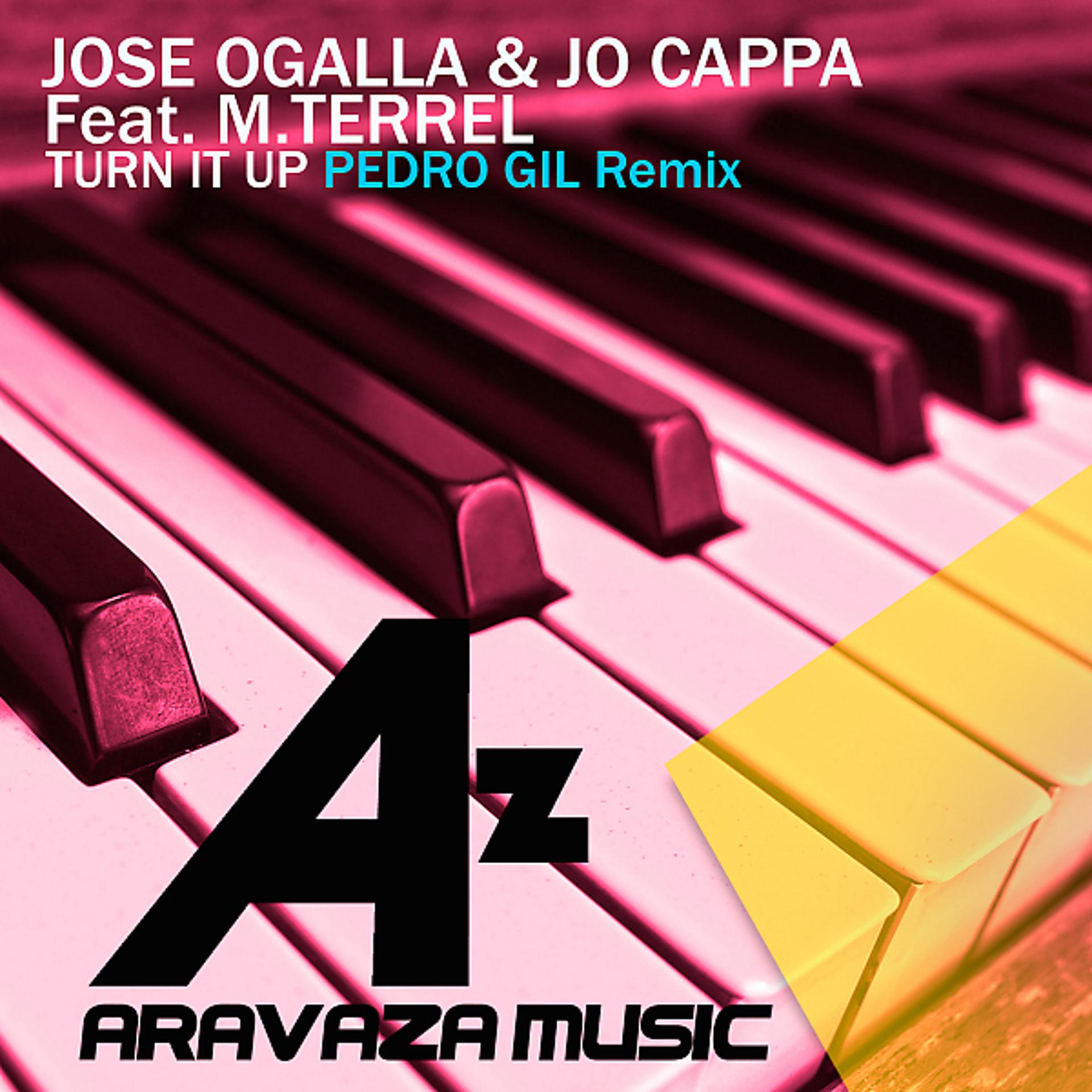 Постер альбома Turn It Up (feat. M Terrel) [Pedro Gil Remix]