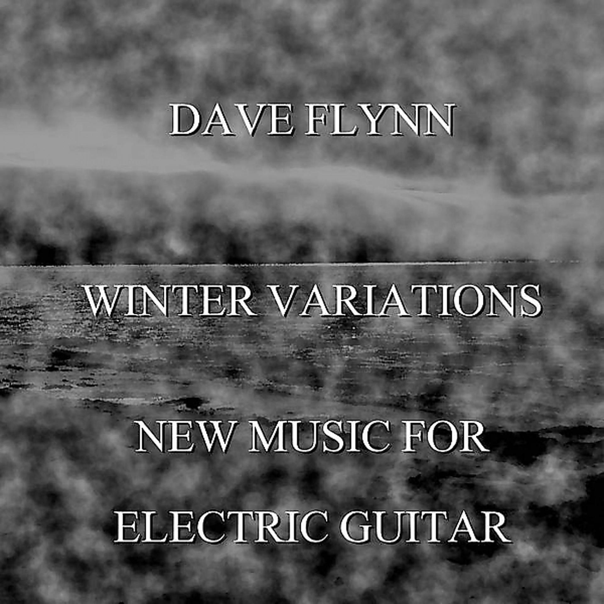 Постер альбома Winter Variations - New Music for Electric Guitar