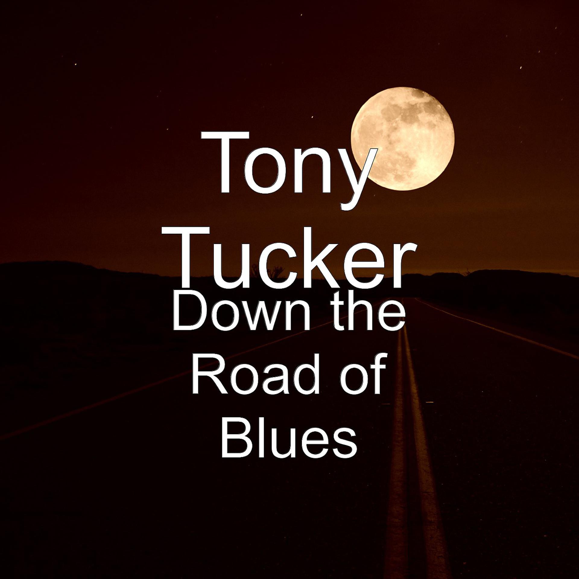 Постер альбома Down the Road of Blues