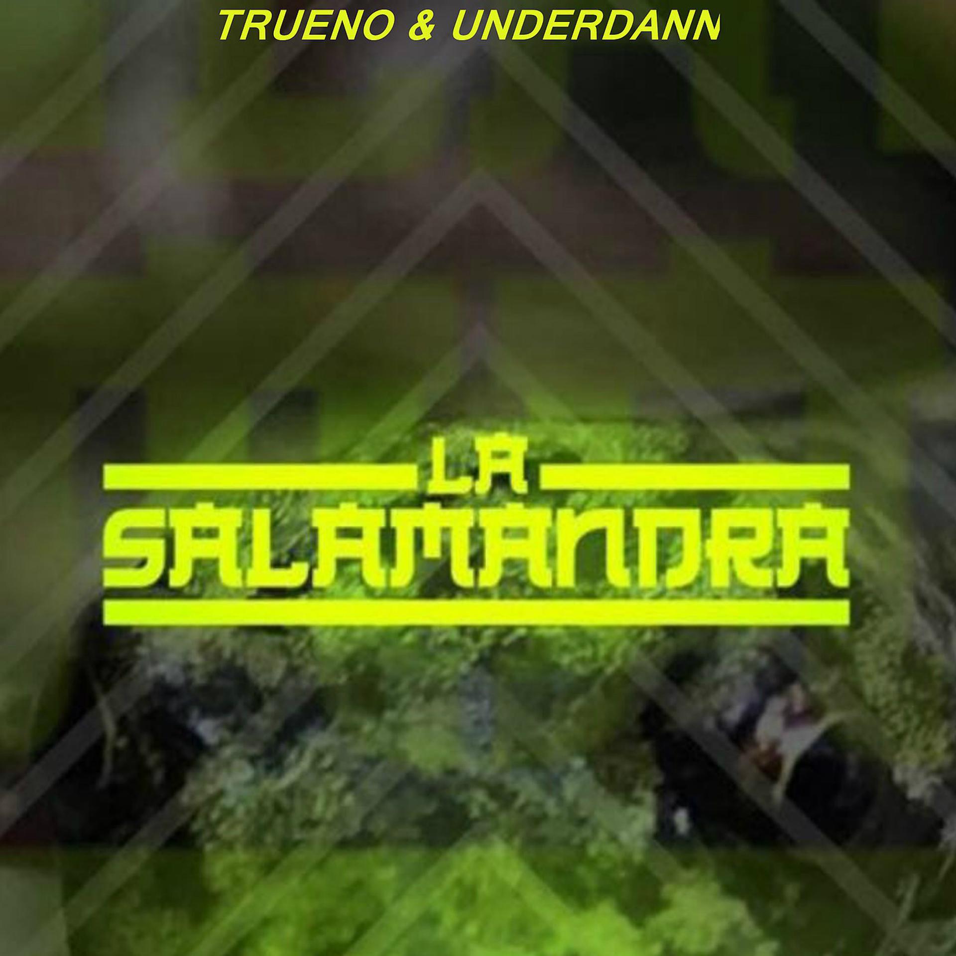 Постер альбома La Salamandra
