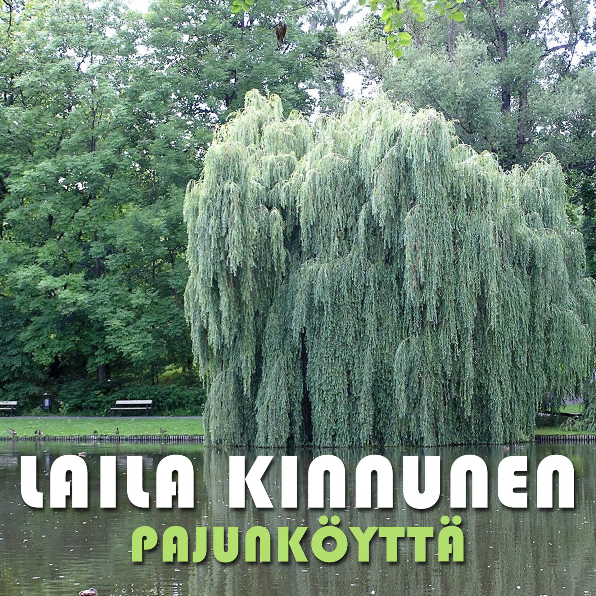 Постер альбома Pajunköyttä