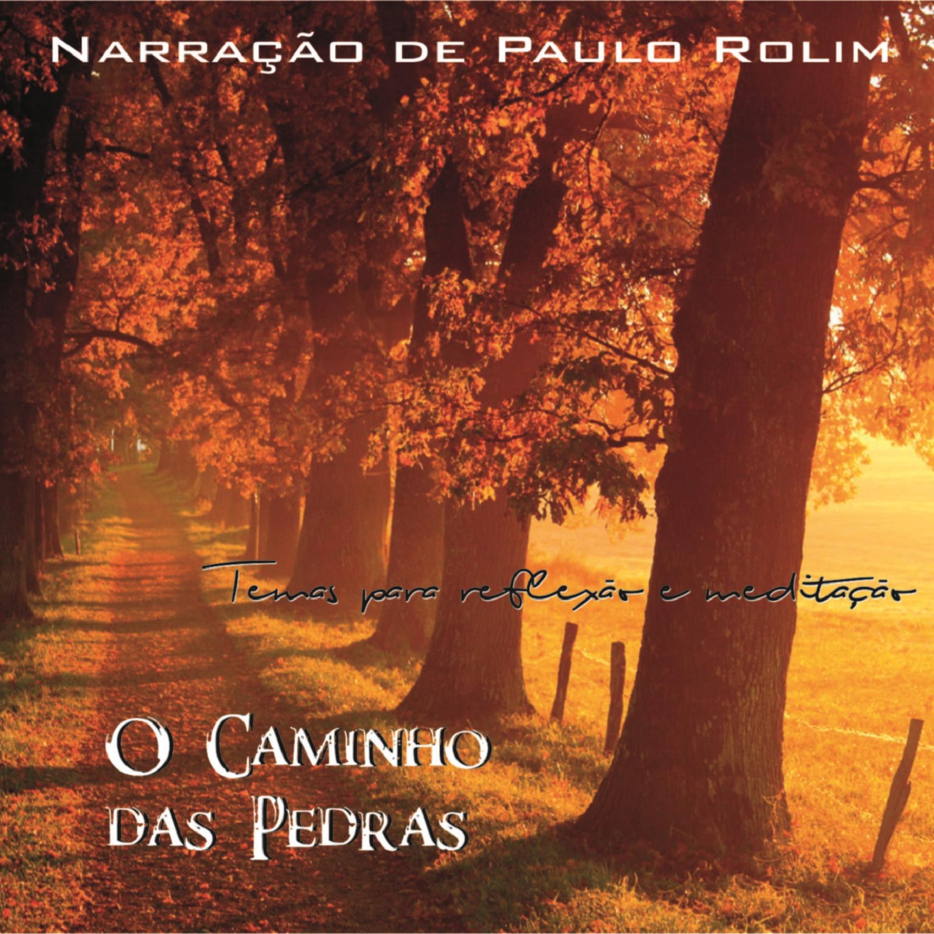 Постер альбома O Caminho das Pedras