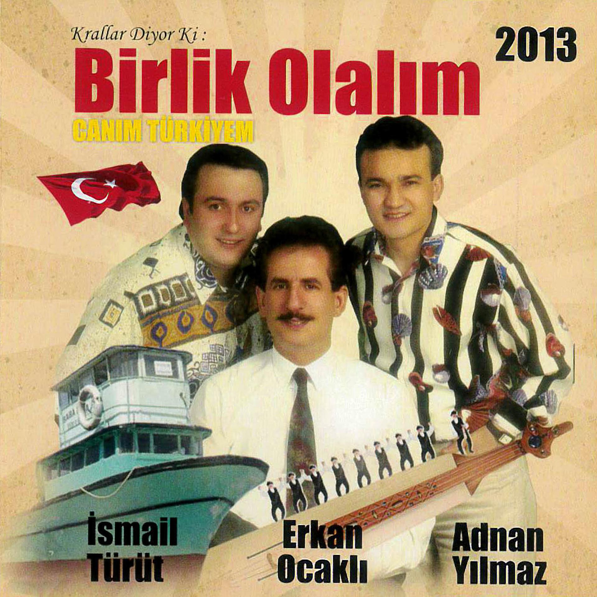 Постер альбома Birlik Olalım / Canım Türkiyem