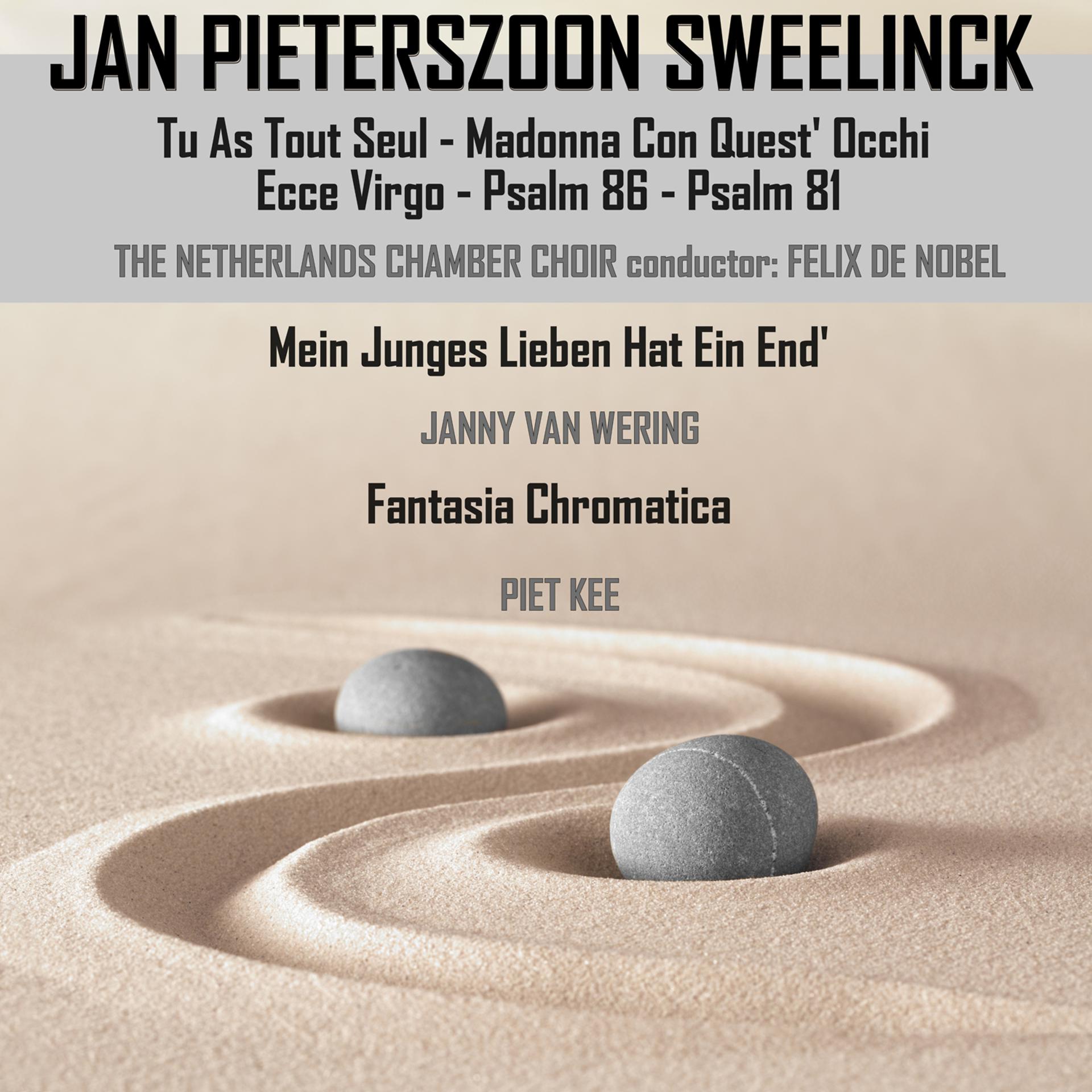 Постер альбома Jan Pieterszoon Sweelinck: Vocal Compositions & Instrumental Compositions