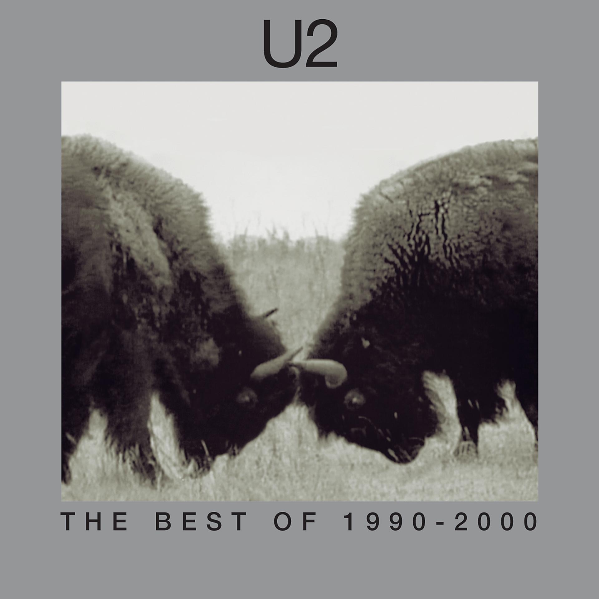 Постер альбома The Best Of 1990-2000 & B-Sides