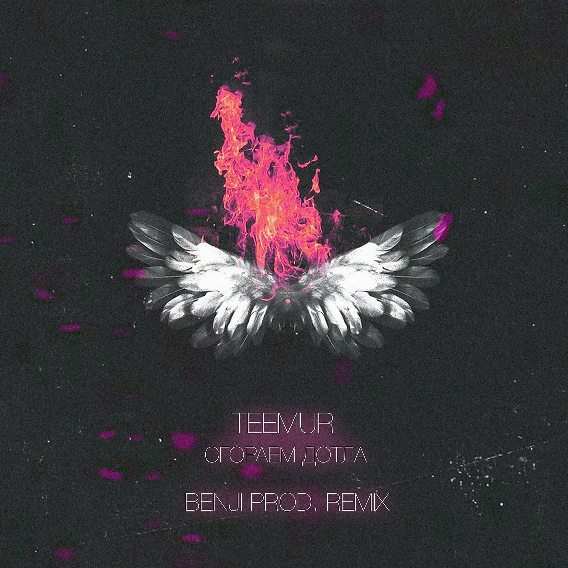 Постер альбома Сгораем дотла (Benji Prod. Remix)
