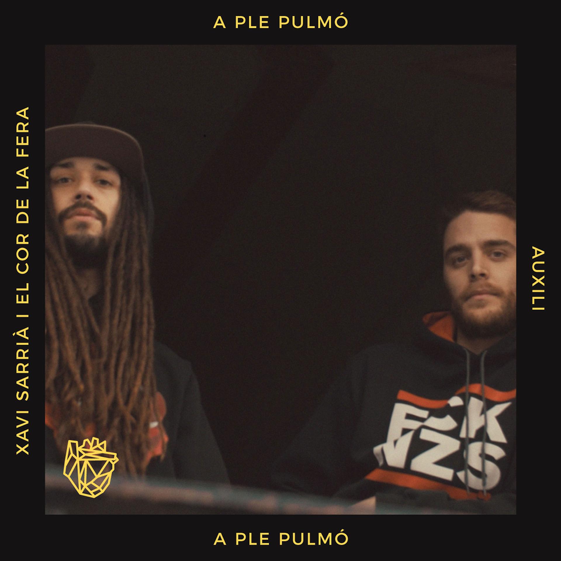Постер альбома A ple pulmó