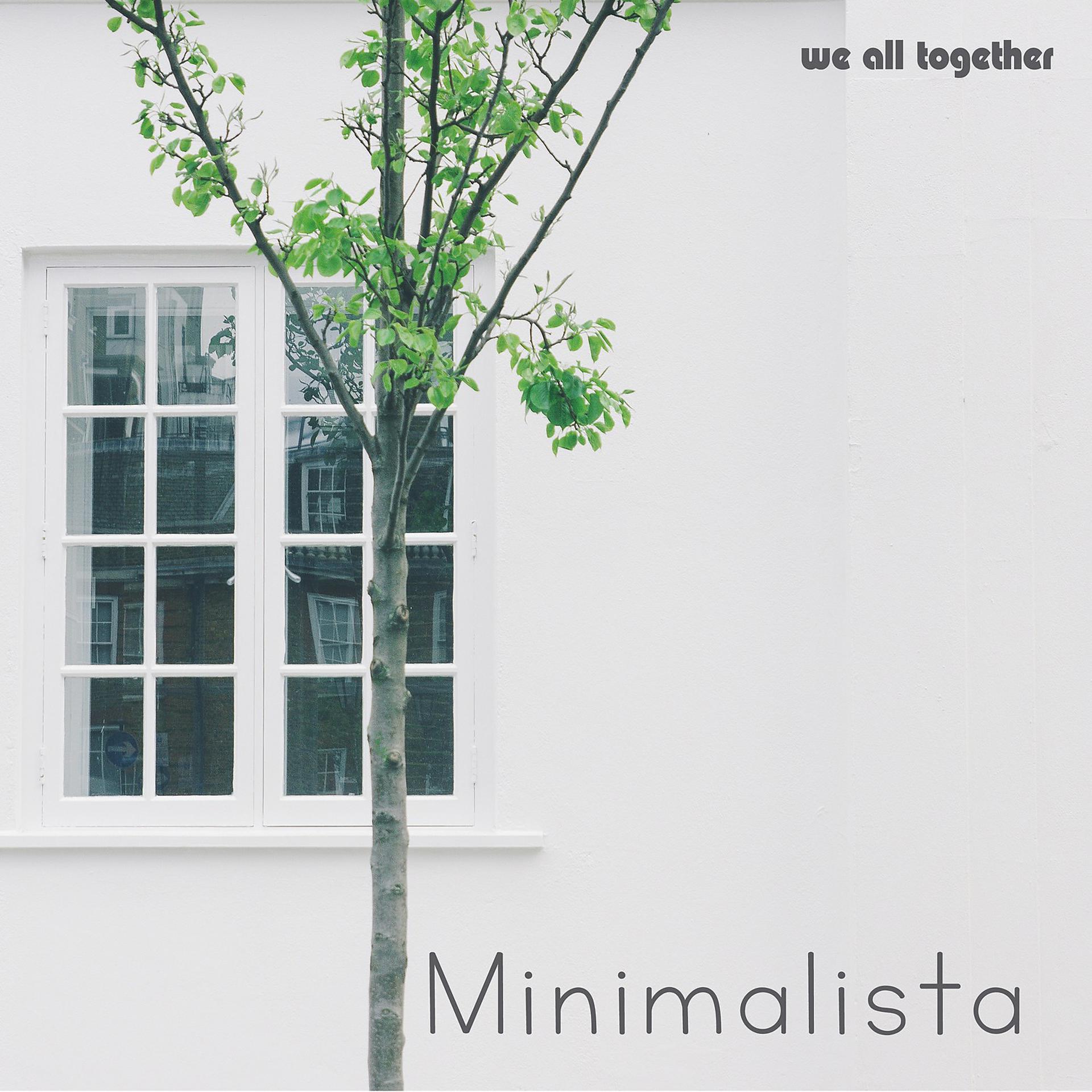 Постер альбома Minimalista