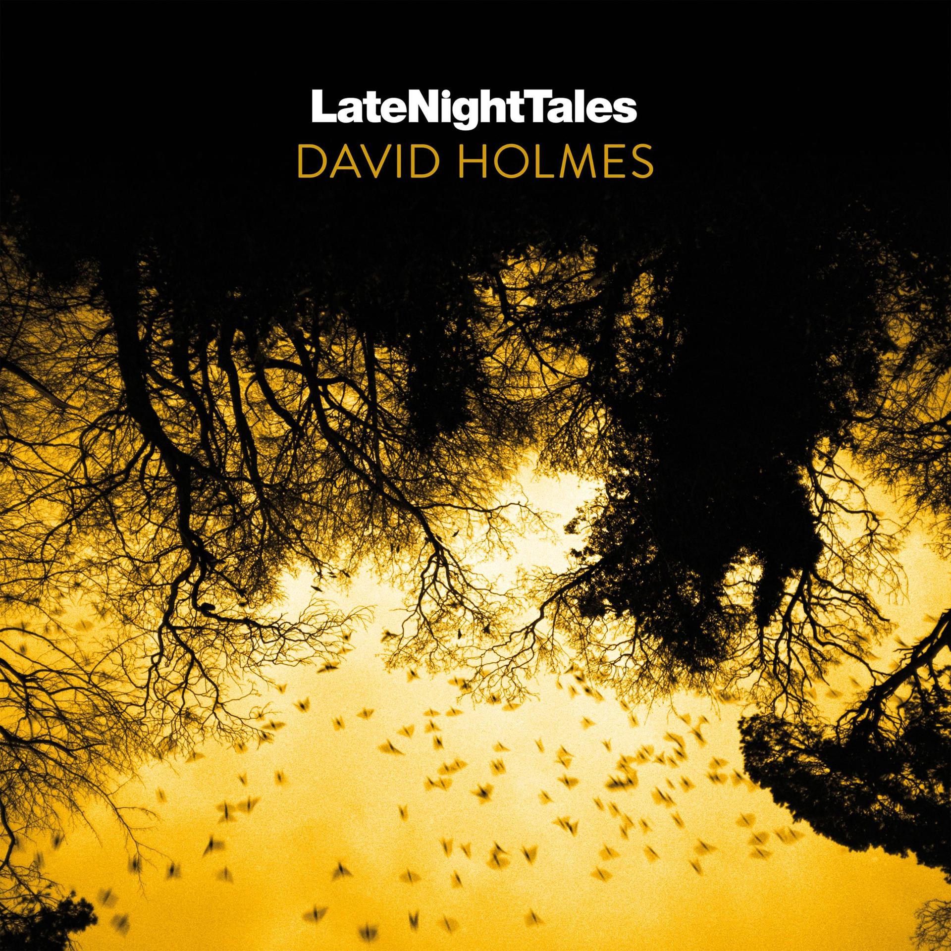 Постер альбома Late Night Tales: David Holmes