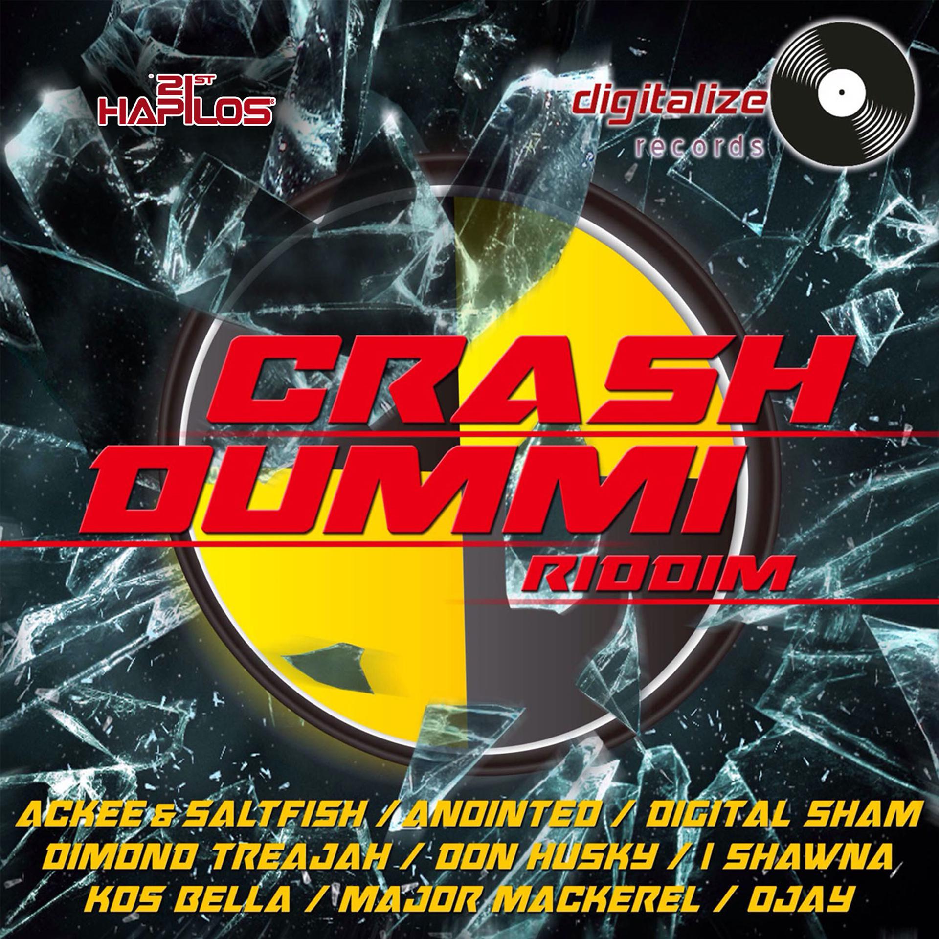 Постер альбома Crash Dummi Riddim