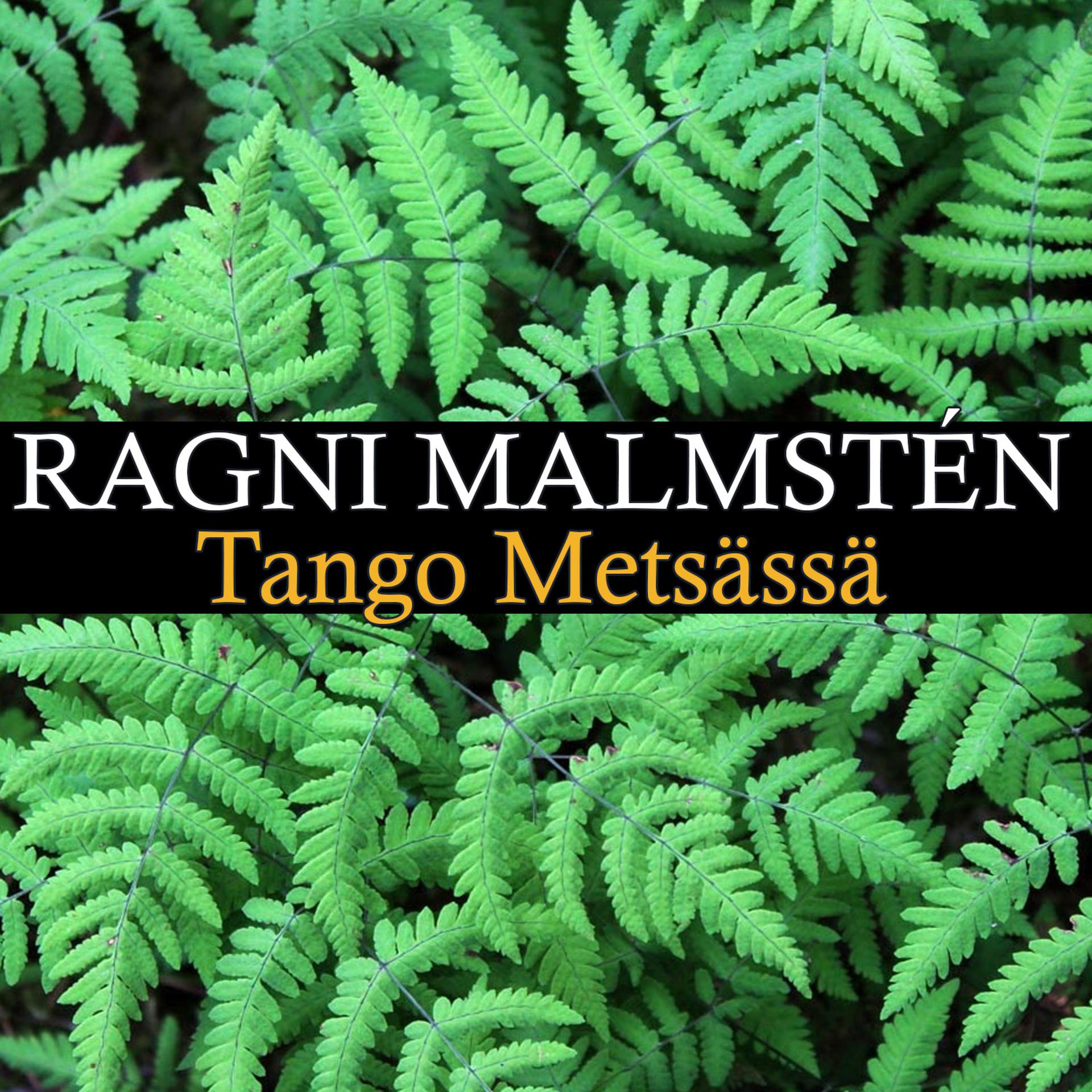 Постер альбома Tango Metsässä