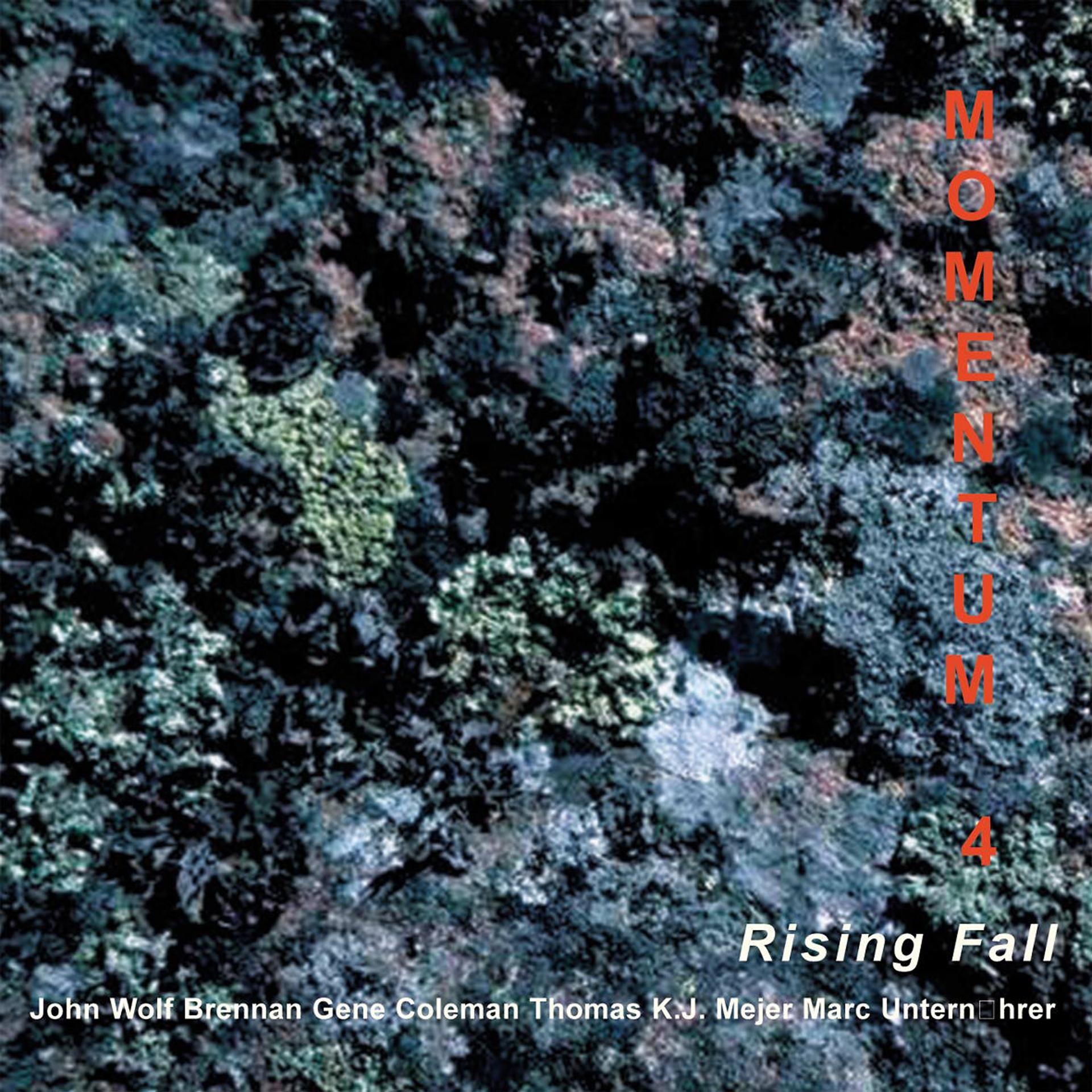 Постер альбома Momentum 4; Rising Fall