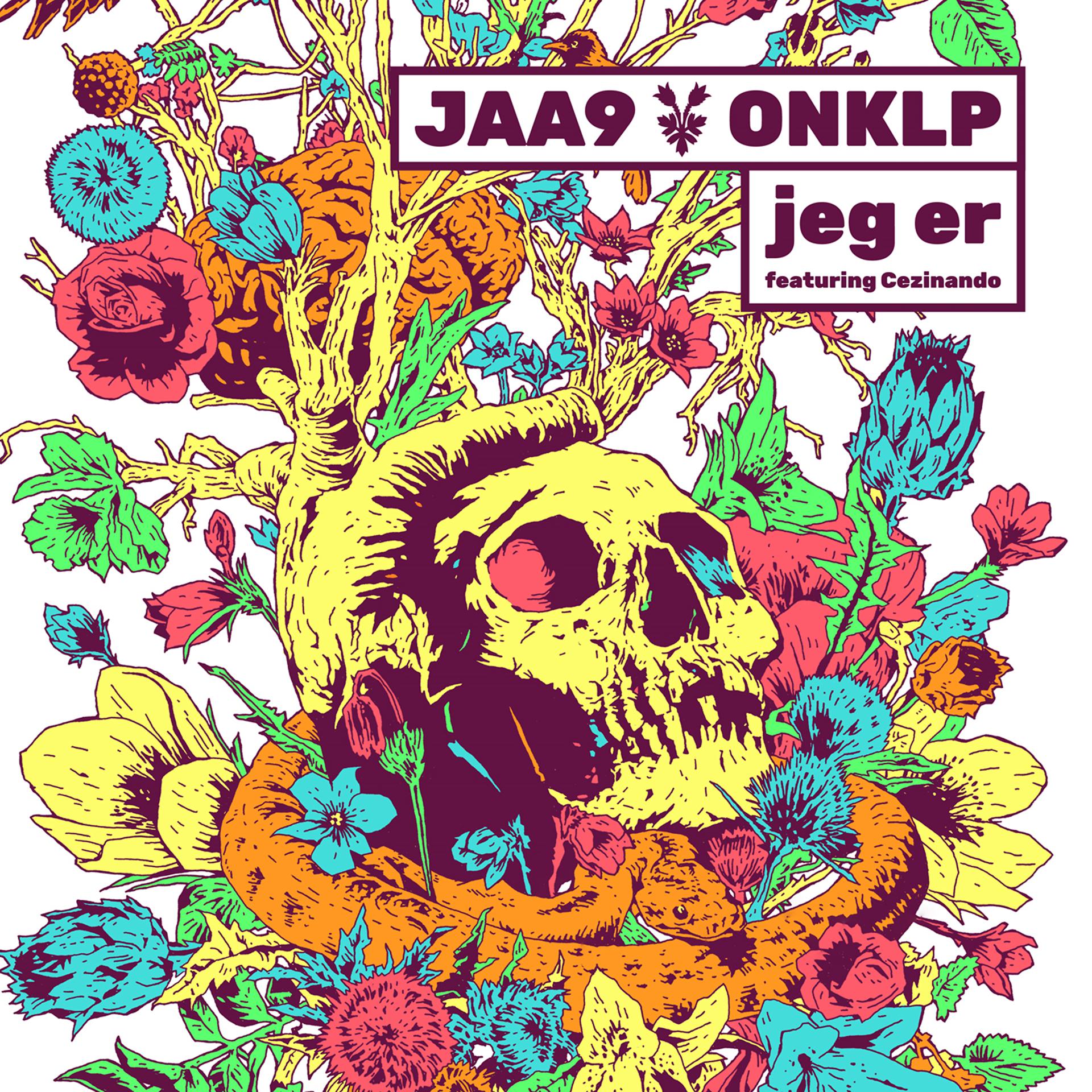Постер альбома Jeg Er