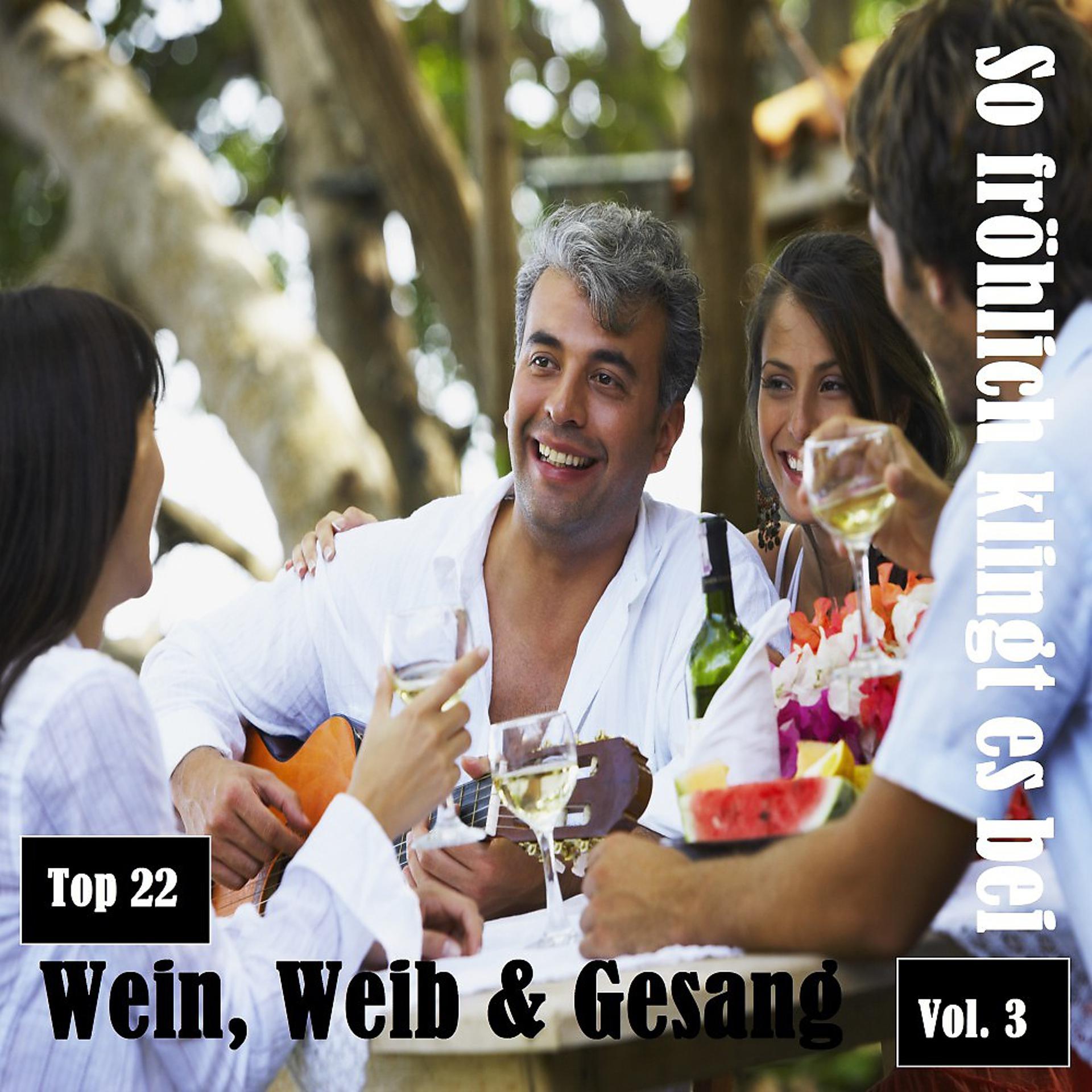 Постер альбома Top 22: So fröhlich klingt es bei Wein, Weib & Gesang, Vol. 3