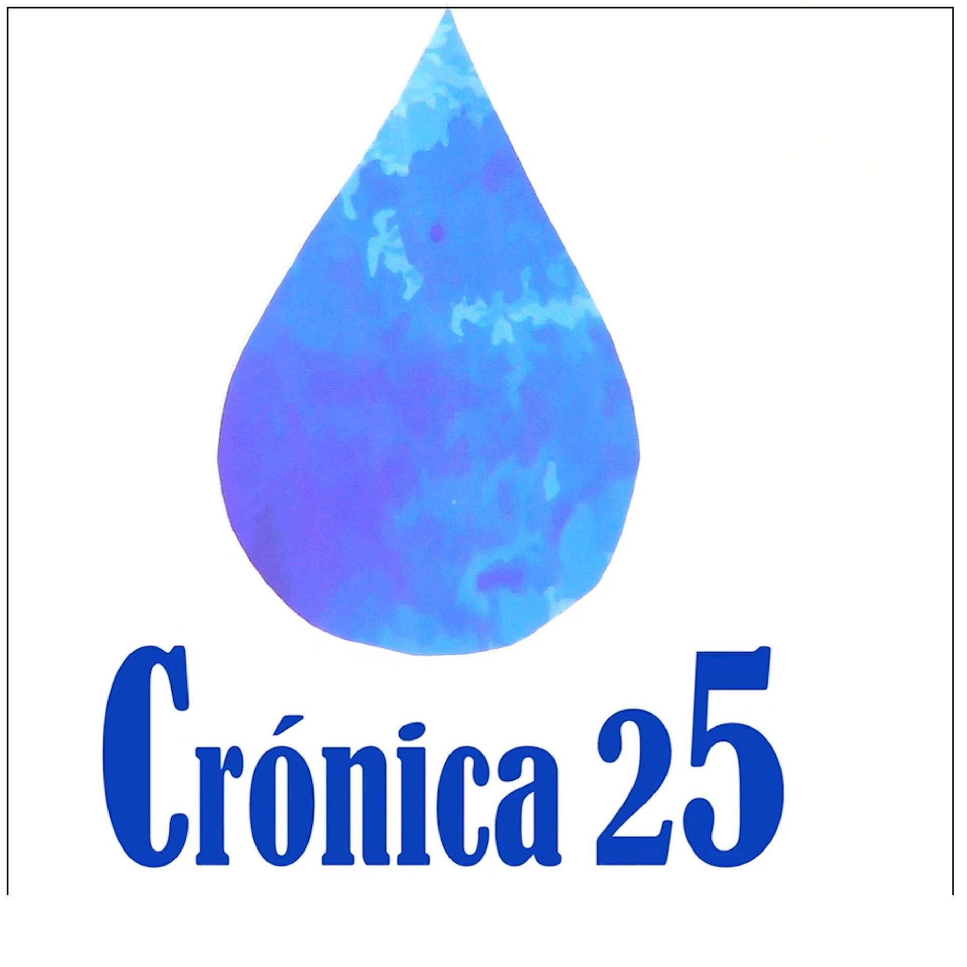 Постер альбома Crónica Sarrera