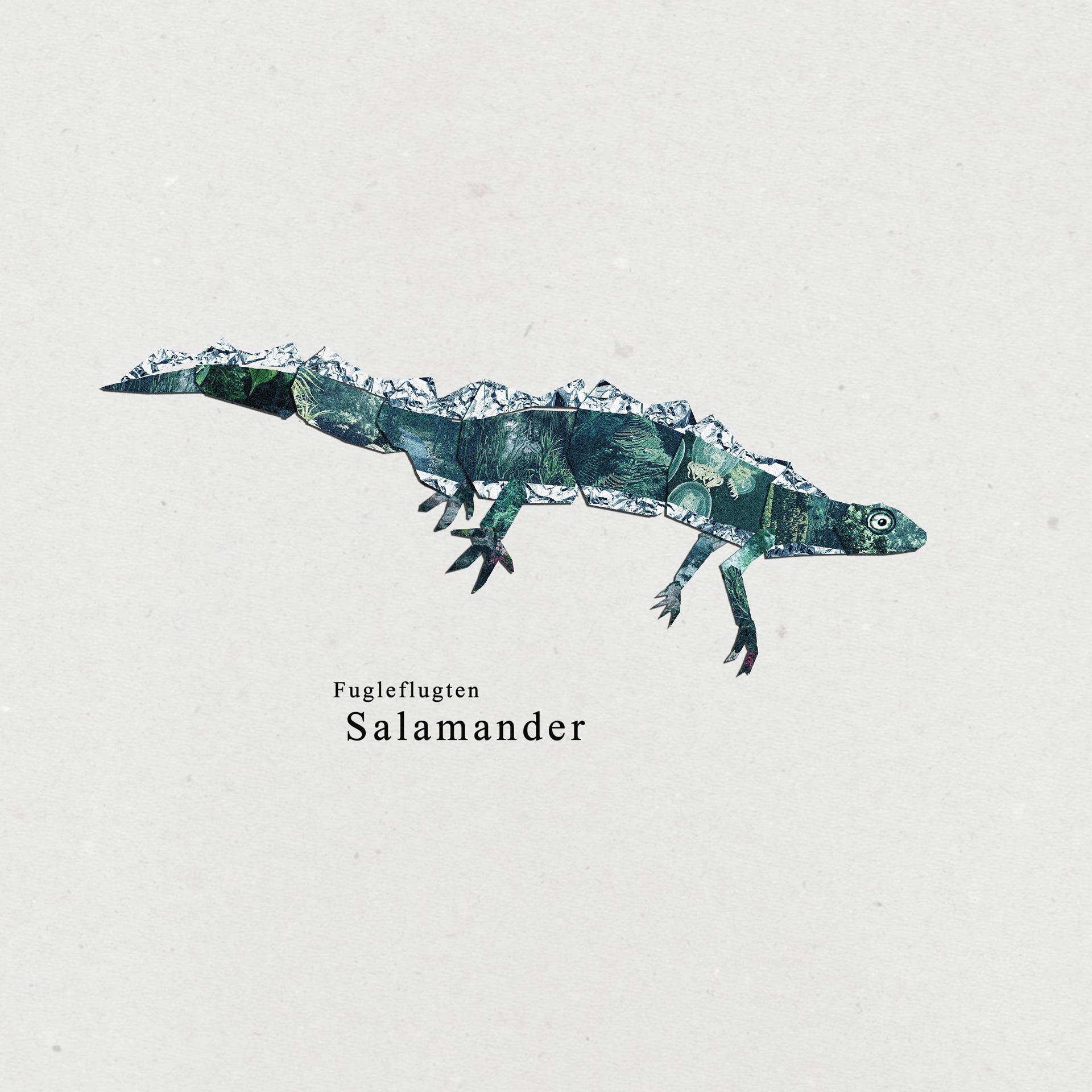 Постер альбома Salamander