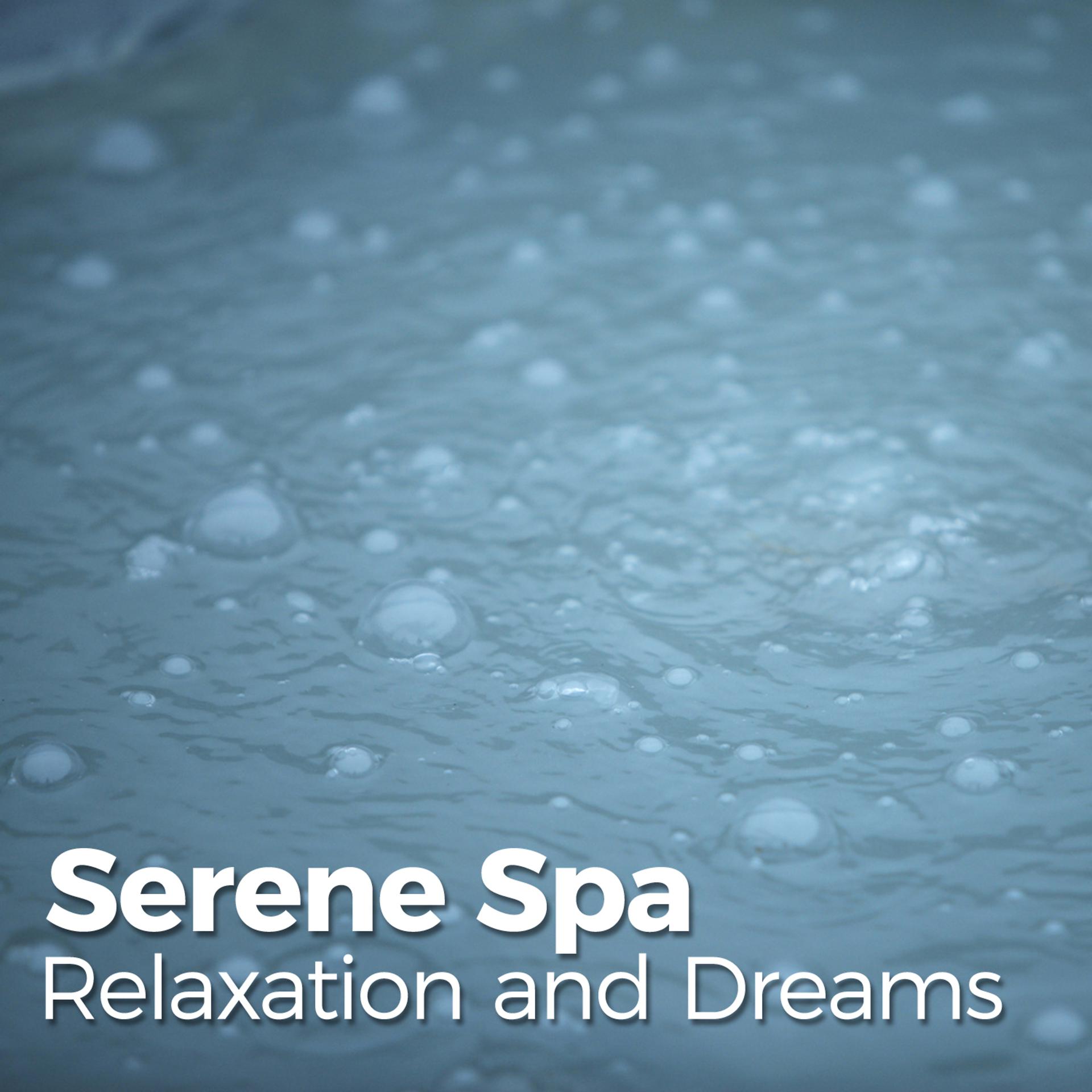 Постер альбома Serene Spa Relaxation and Dreams