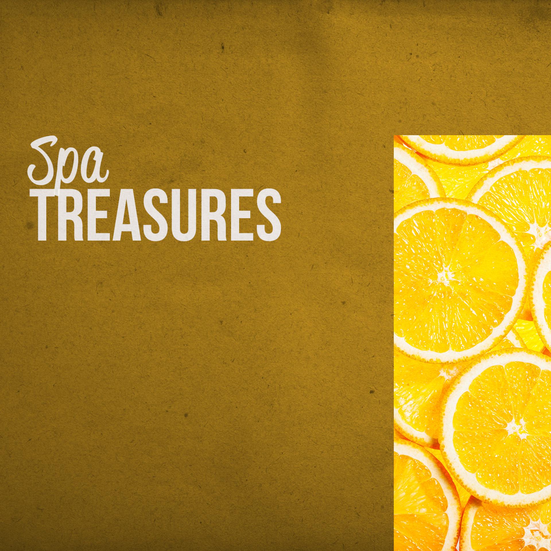 Постер альбома Spa Treasures