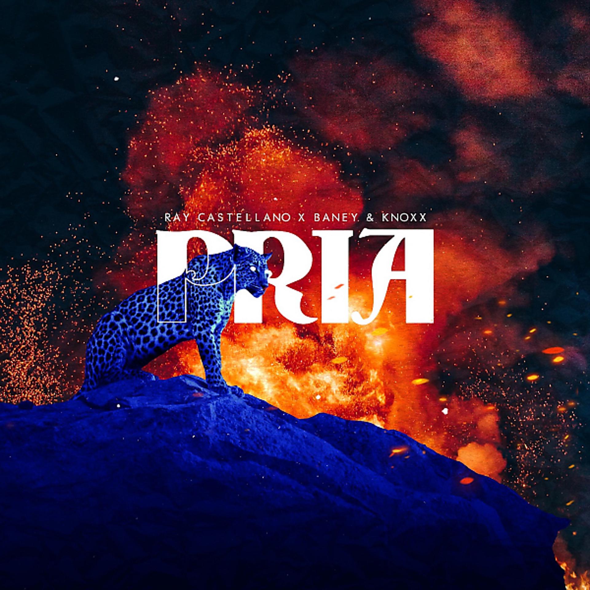 Постер альбома PRIA