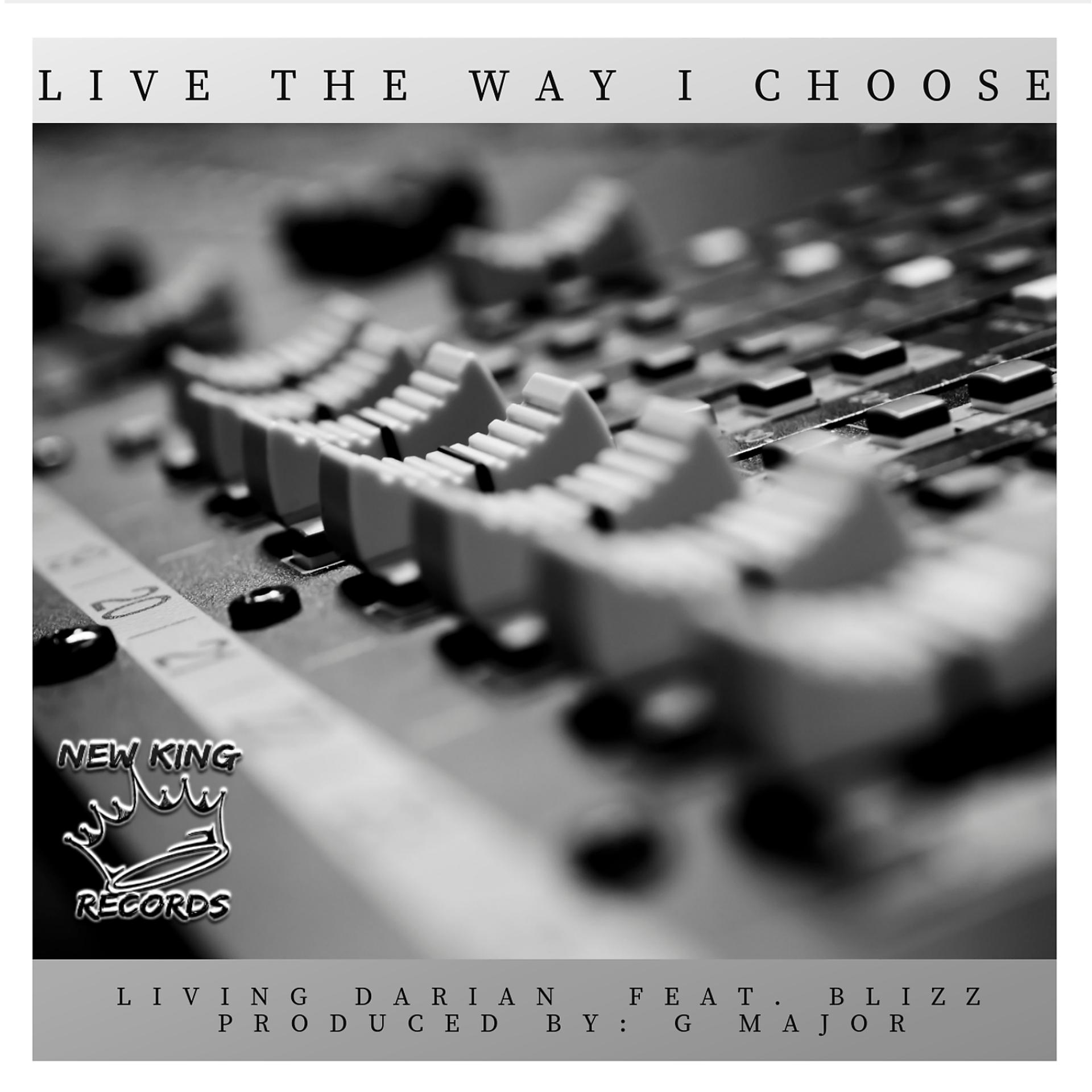 Постер альбома Live The Way I Choose (feat. Blizz)