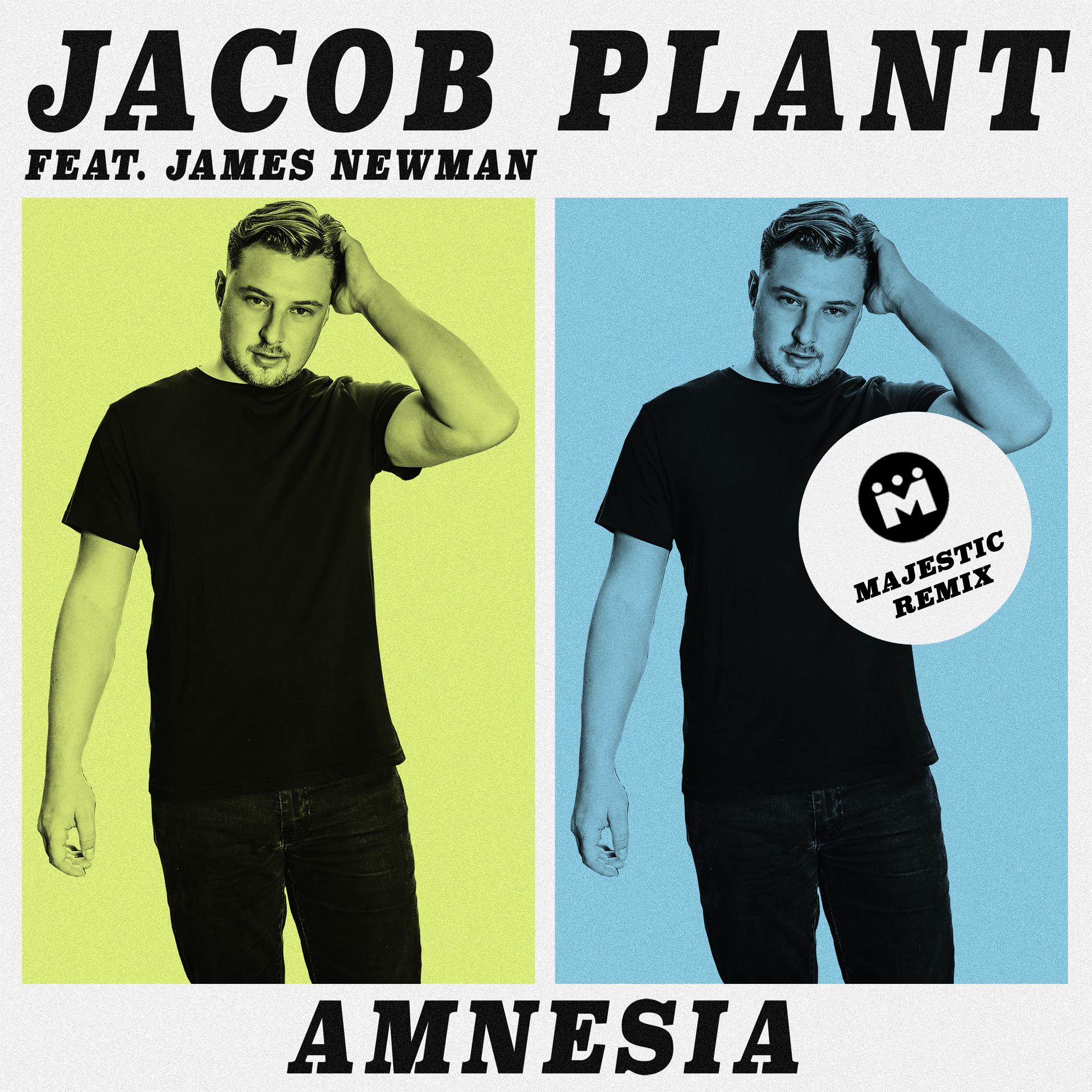 Постер альбома Amnesia (feat. James Newman) [Majestic Remix]